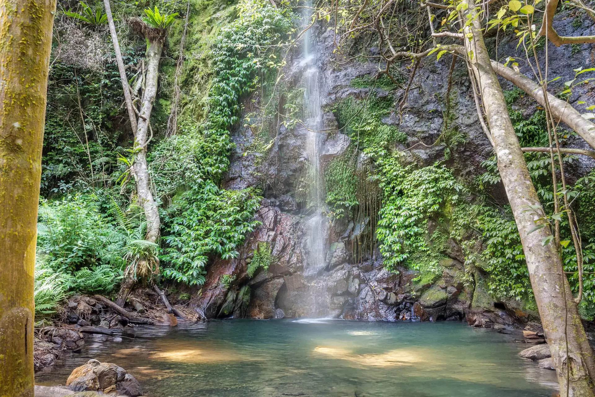 Photo #4: 892 & 904 The Pocket Road, The Pocket - For Sale by Byron Bay Sotheby's International Realty