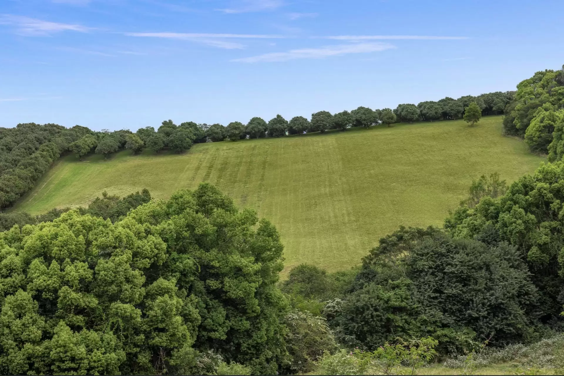 Photo #16: 1270 Hinterland Way, Bangalow - For Sale by Byron Bay Sotheby's International Realty
