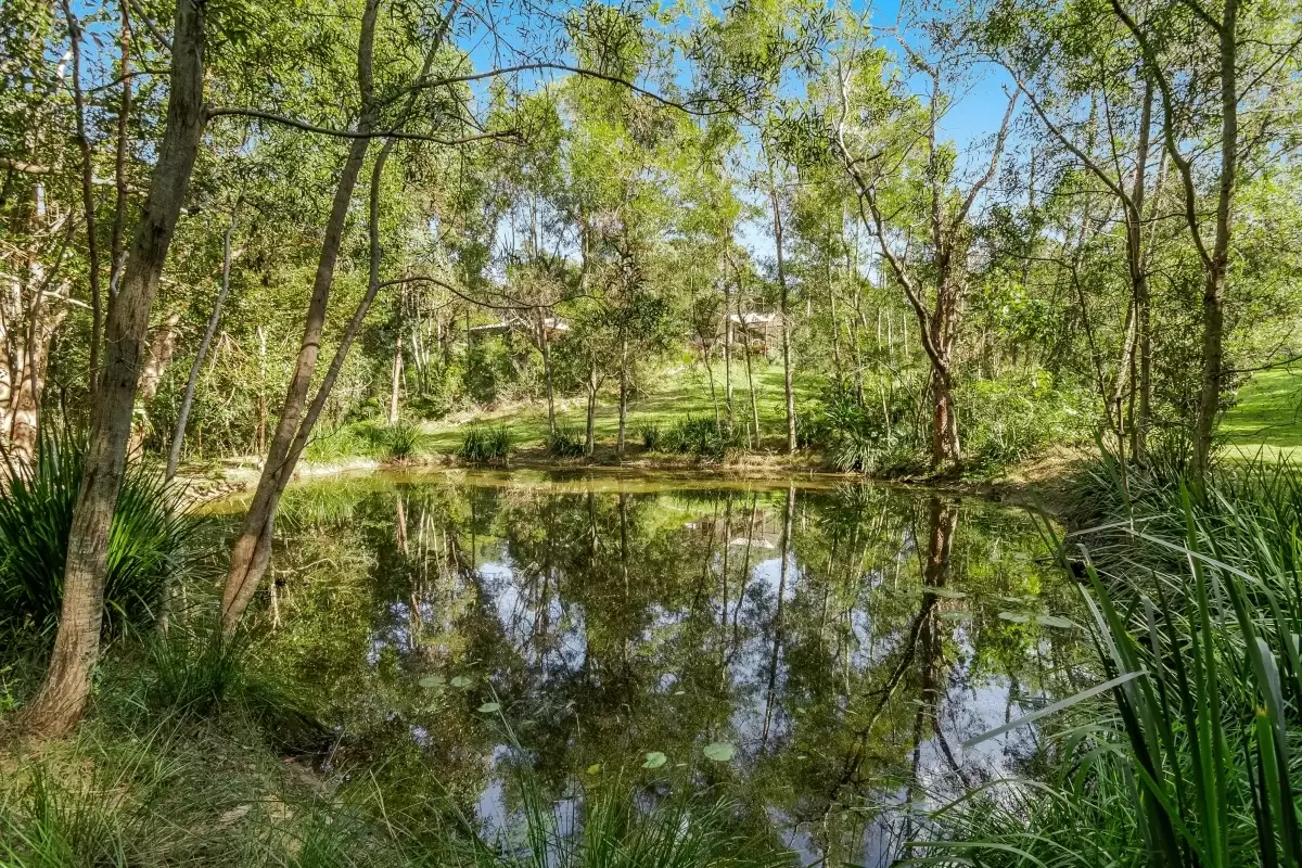 Photo #13: 36-38 Benloro Lane, Myocum - For Sale by Byron Bay Sotheby's International Realty