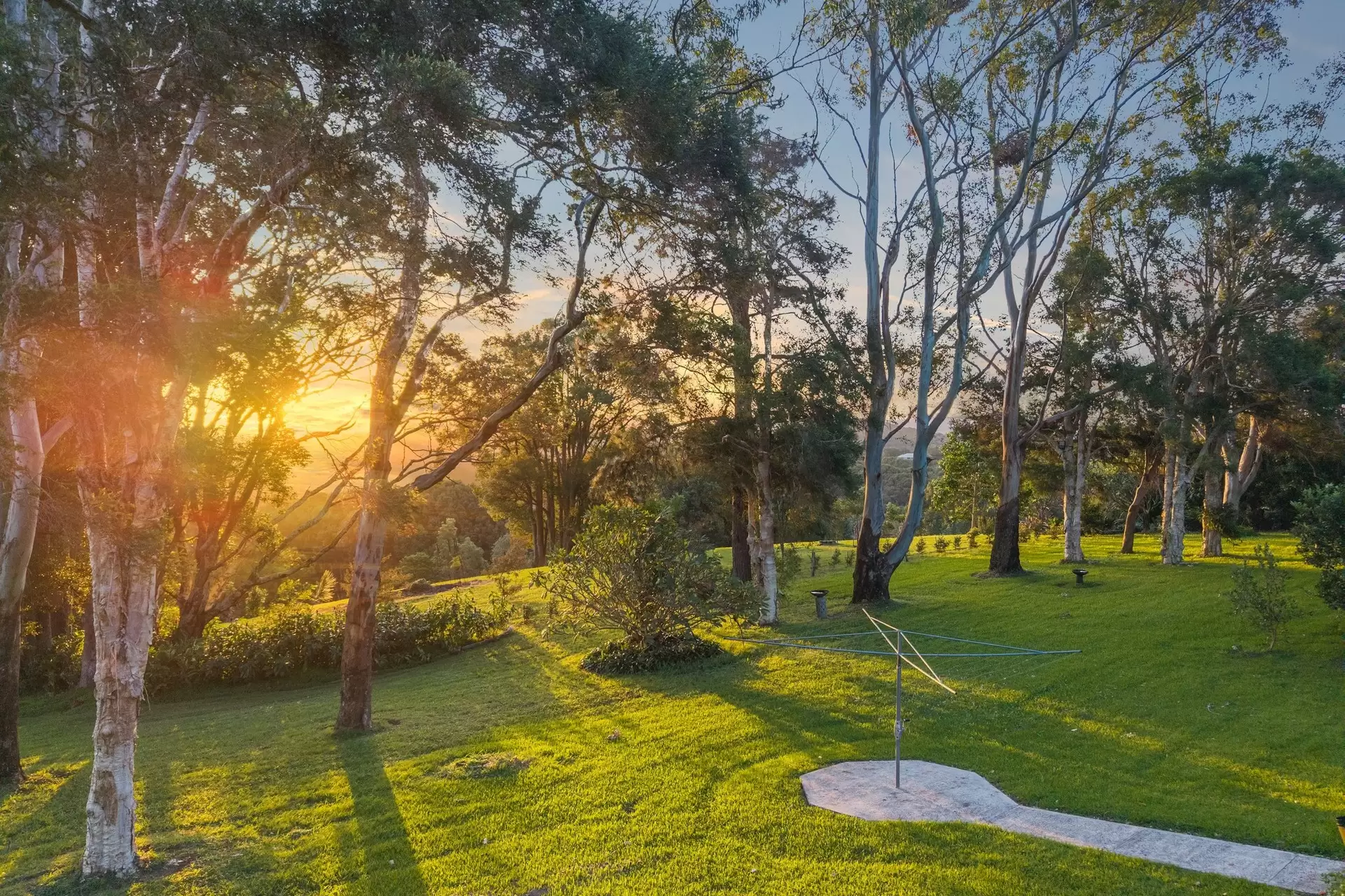 Photo #24: 54 Friday Hut Road, Coorabell - For Sale by Byron Bay Sotheby's International Realty