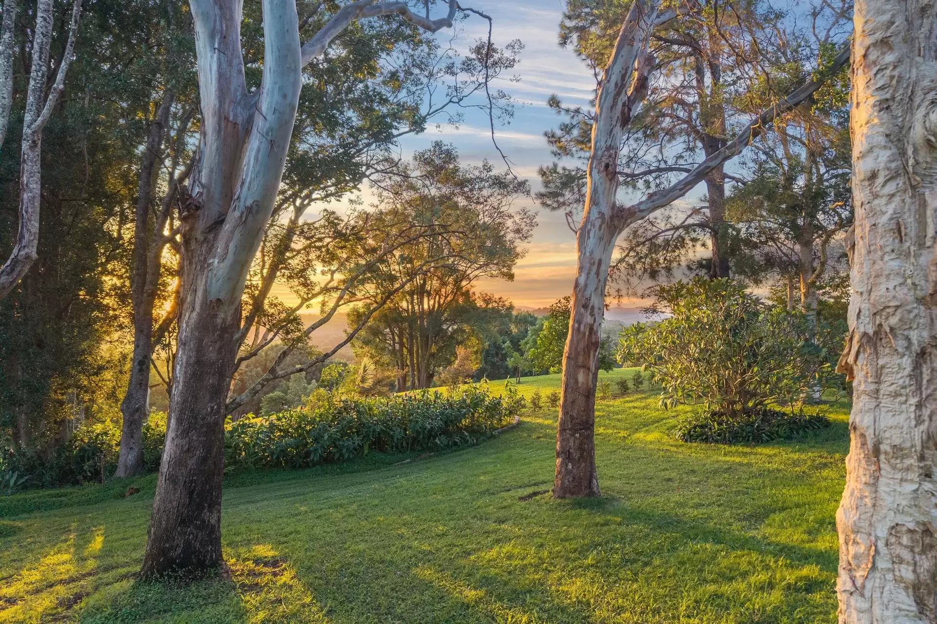 Photo #3: 54 Friday Hut Road, Coorabell - For Sale by Byron Bay Sotheby's International Realty