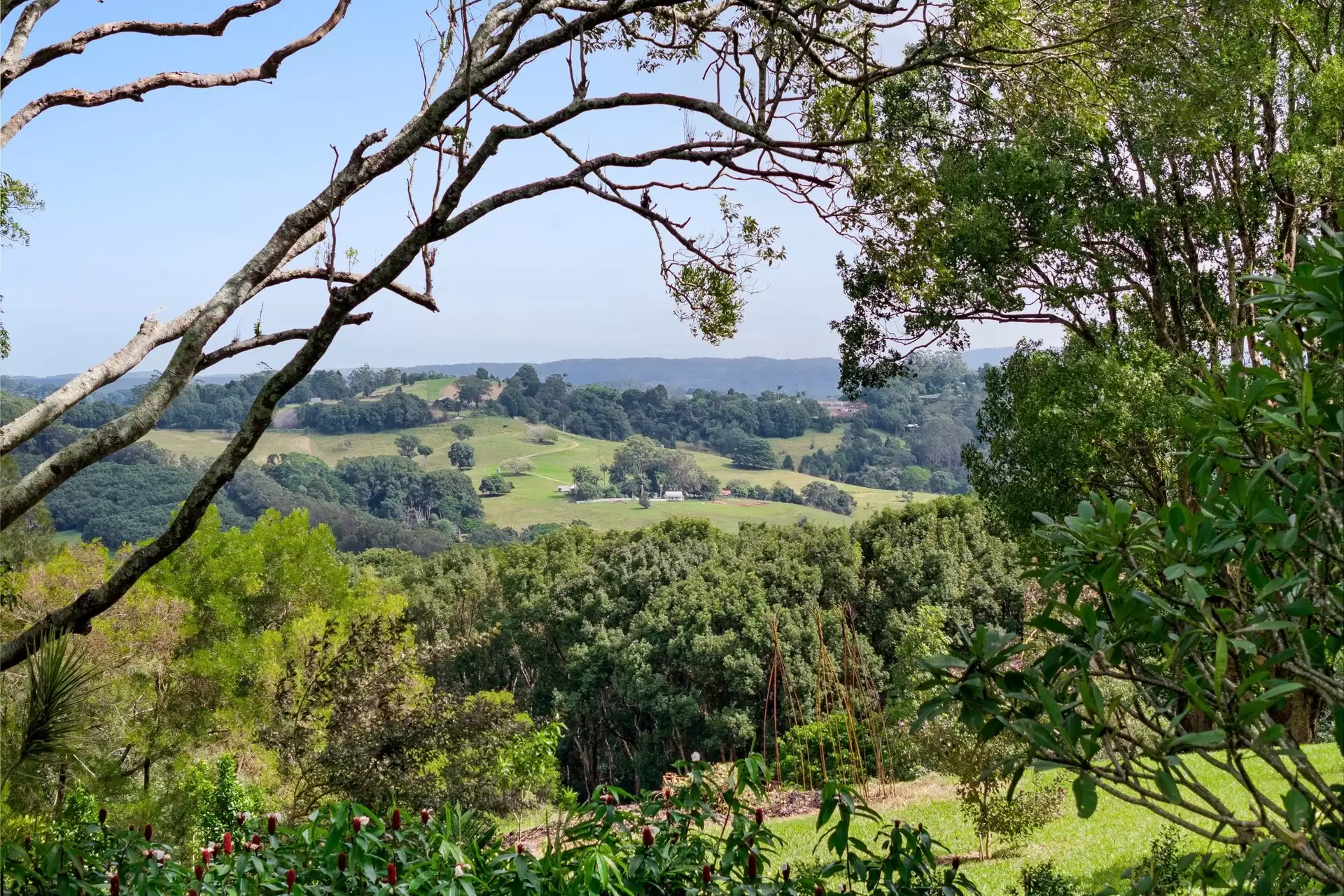 Photo #6: 54 Friday Hut Road, Coorabell - For Sale by Byron Bay Sotheby's International Realty