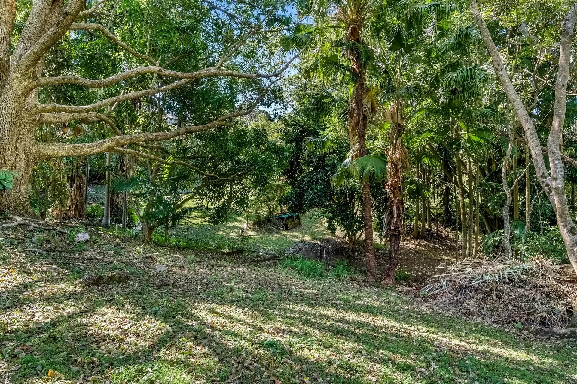 13 Yengarie Way, Ocean Shores Sold by Byron Bay Sotheby's International Realty - image 1