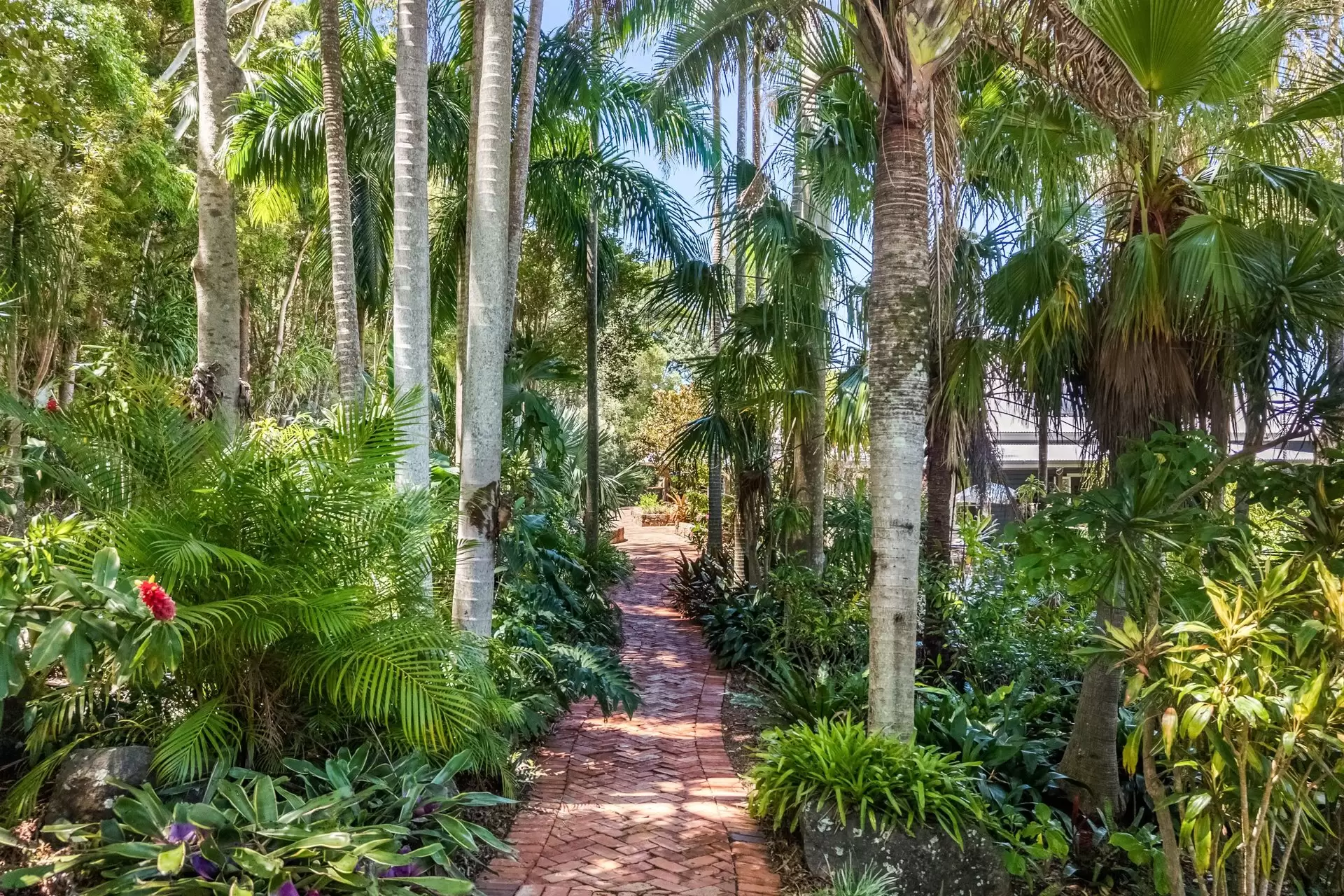 629 Coopers Shoot Road, Coopers Shoot For Sale by Byron Bay Sotheby's International Realty - image 1