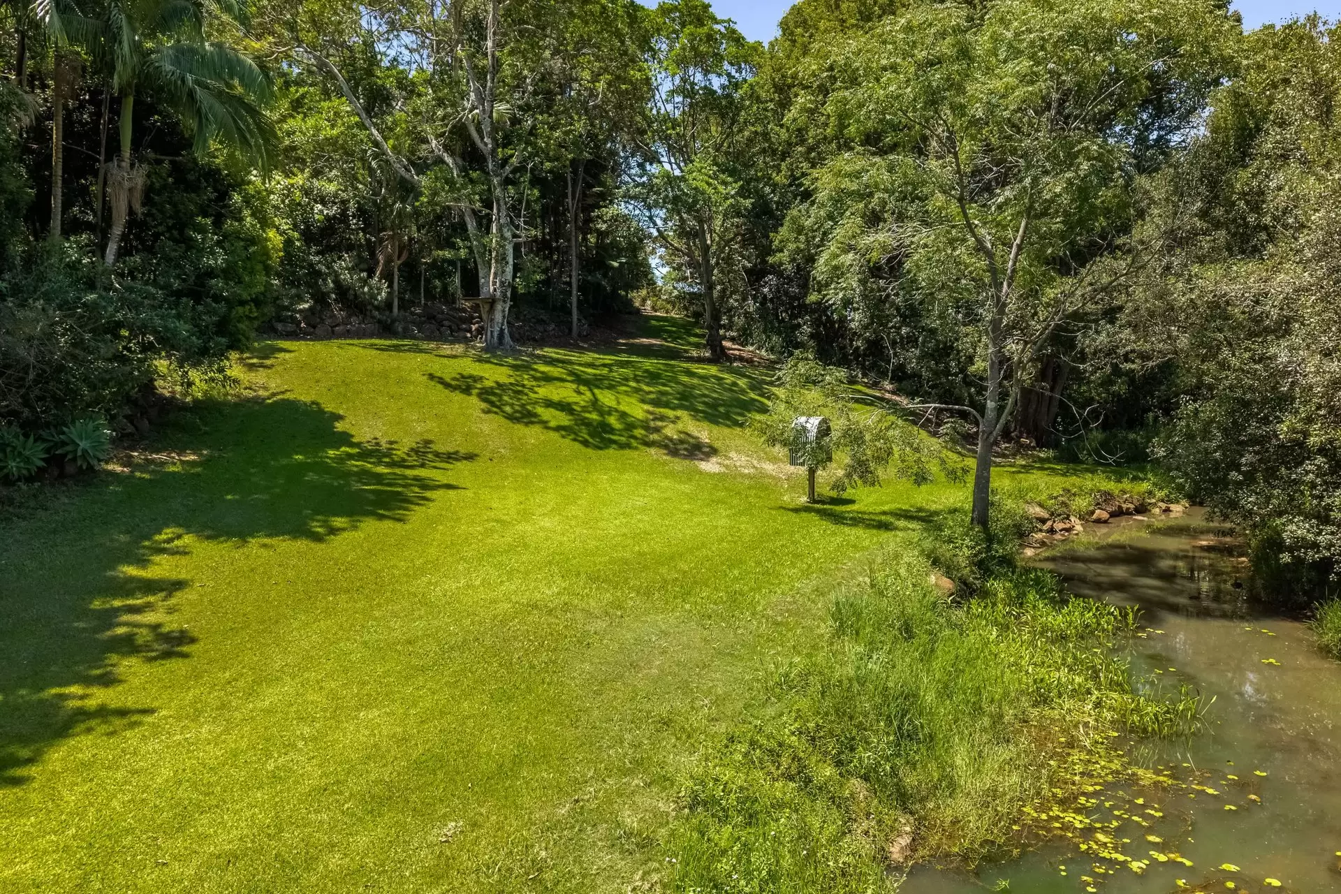 629 Coopers Shoot Road, Coopers Shoot For Sale by Byron Bay Sotheby's International Realty - image 1