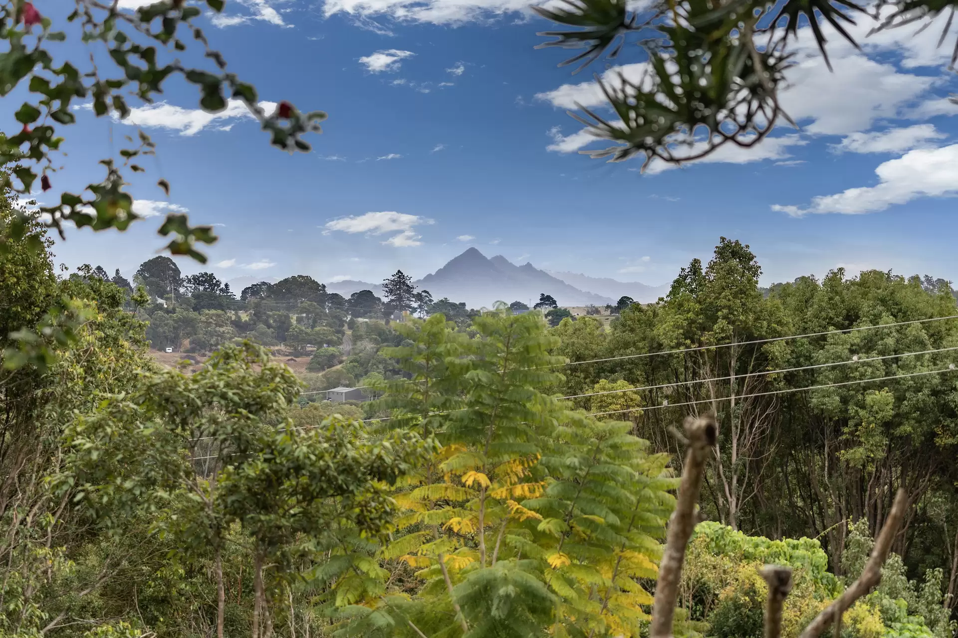Photo #7: 70 Tandys Lane, Brunswick Heads - Sold by Byron Bay Sotheby's International Realty