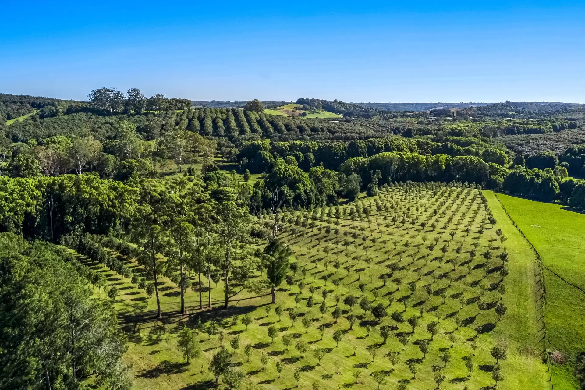 399 Fernleigh Road, Fernleigh For Sale by Byron Bay Sotheby's International Realty - image 1