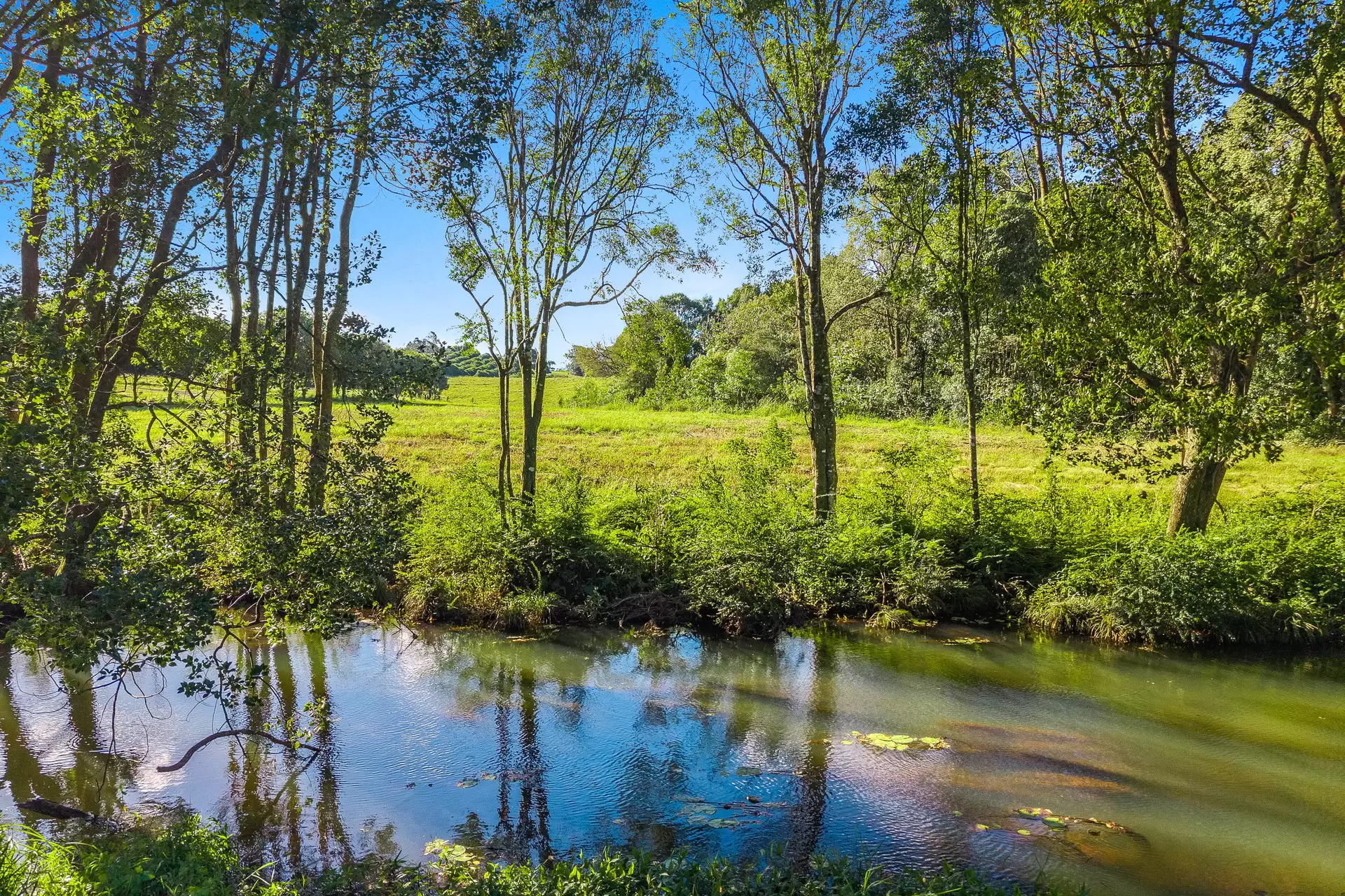 36B Brooklet Road, Newrybar For Sale by Byron Bay Sotheby's International Realty - image 1