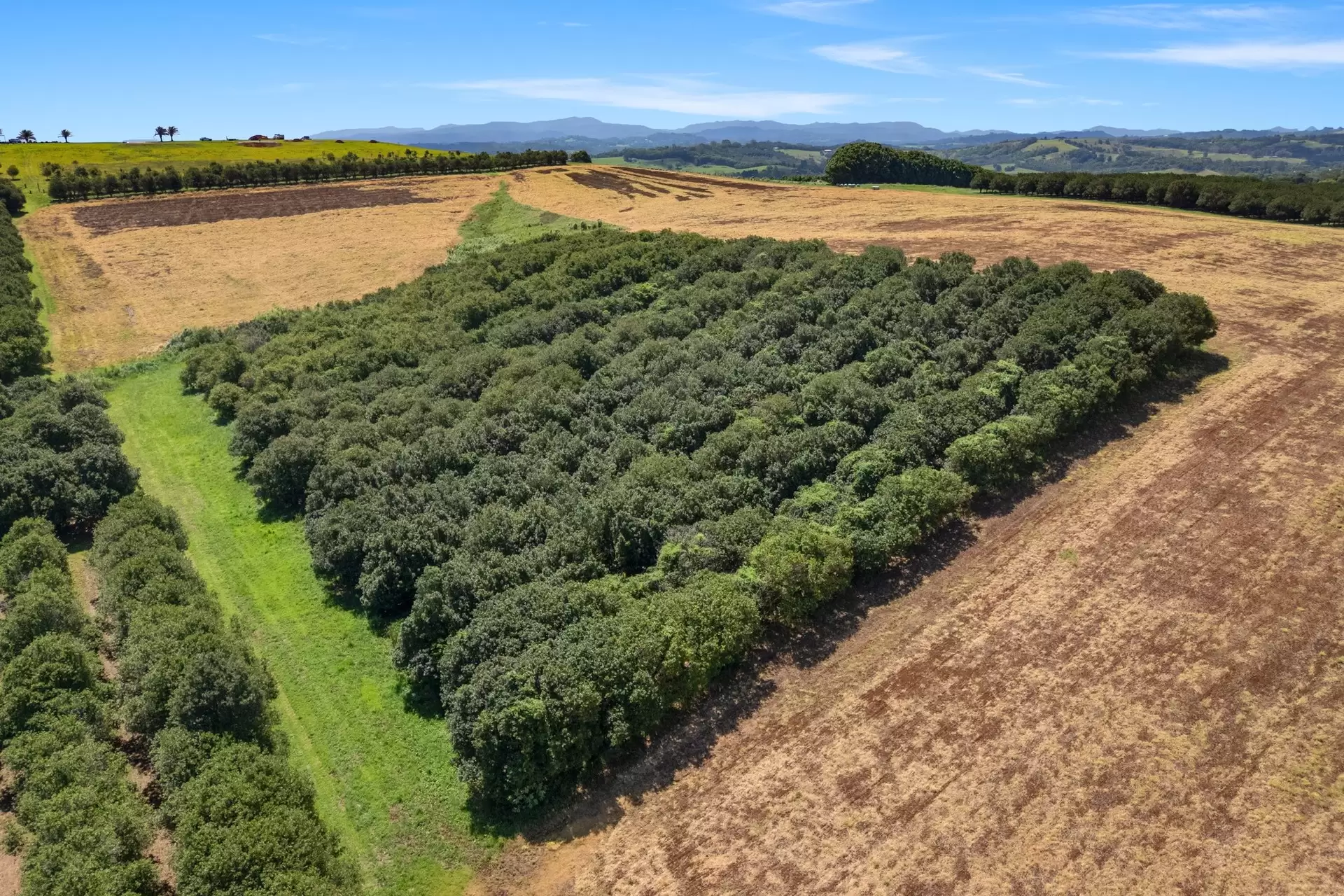 36B Brooklet Road, Newrybar For Sale by Byron Bay Sotheby's International Realty - image 1