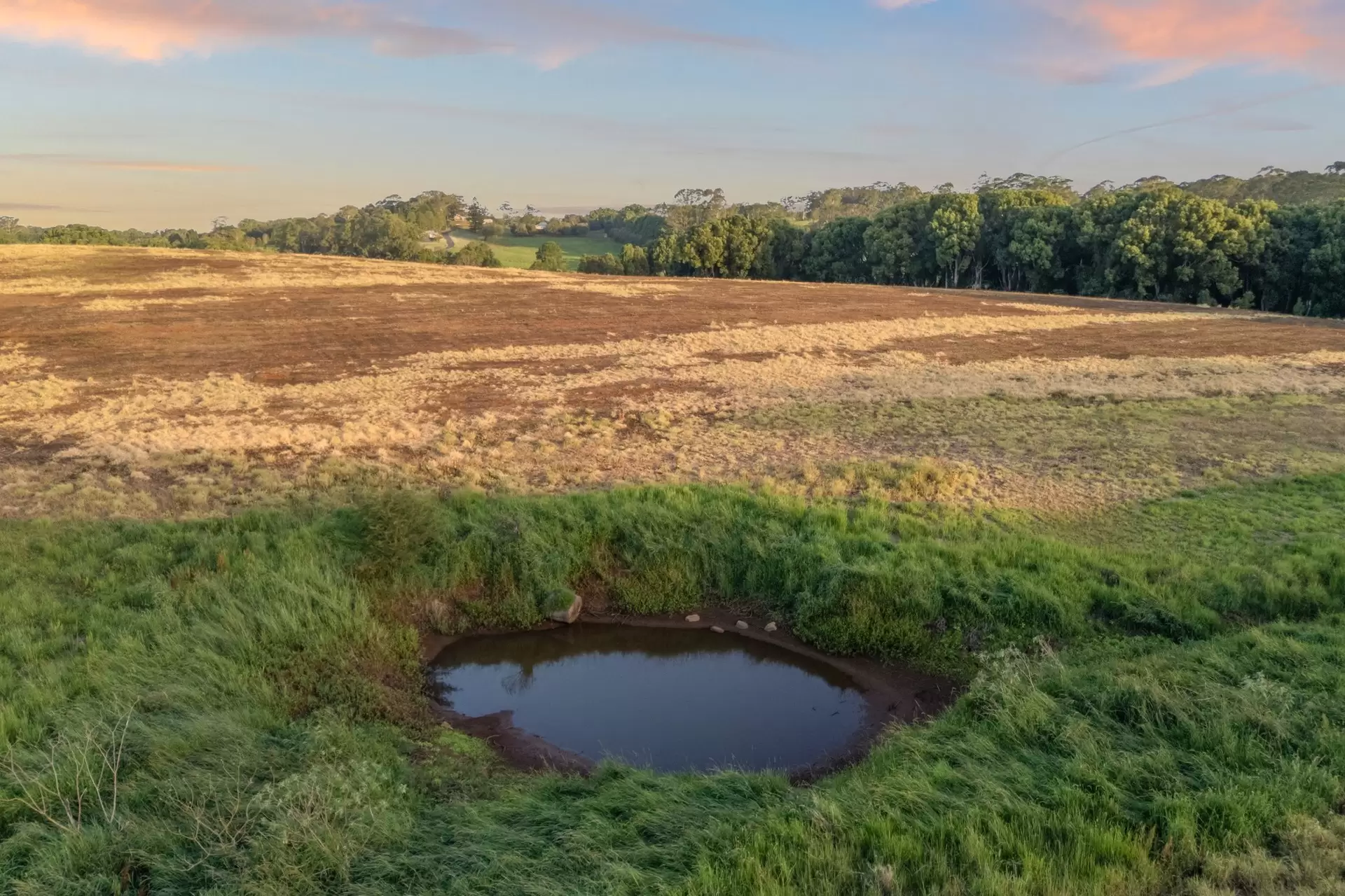 36B Brooklet Road, Newrybar For Sale by Byron Bay Sotheby's International Realty - image 1