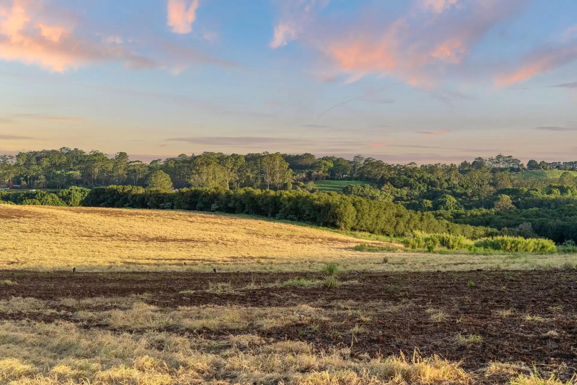 36B Brooklet Road, Newrybar For Sale by Byron Bay Sotheby's International Realty - image 1