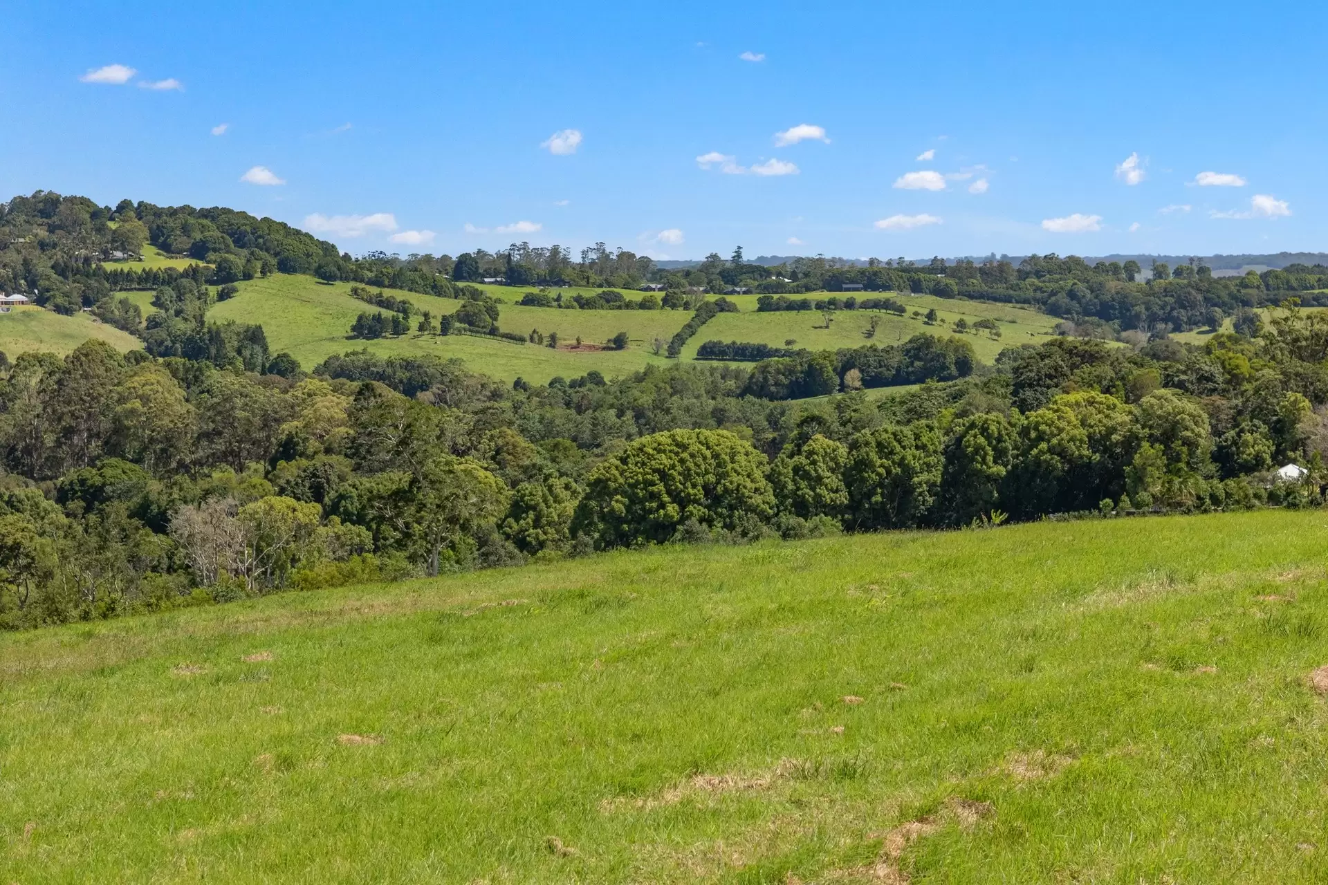 1141 Friday Hut Road, Binna Burra For Sale by Byron Bay Sotheby's International Realty - image 1