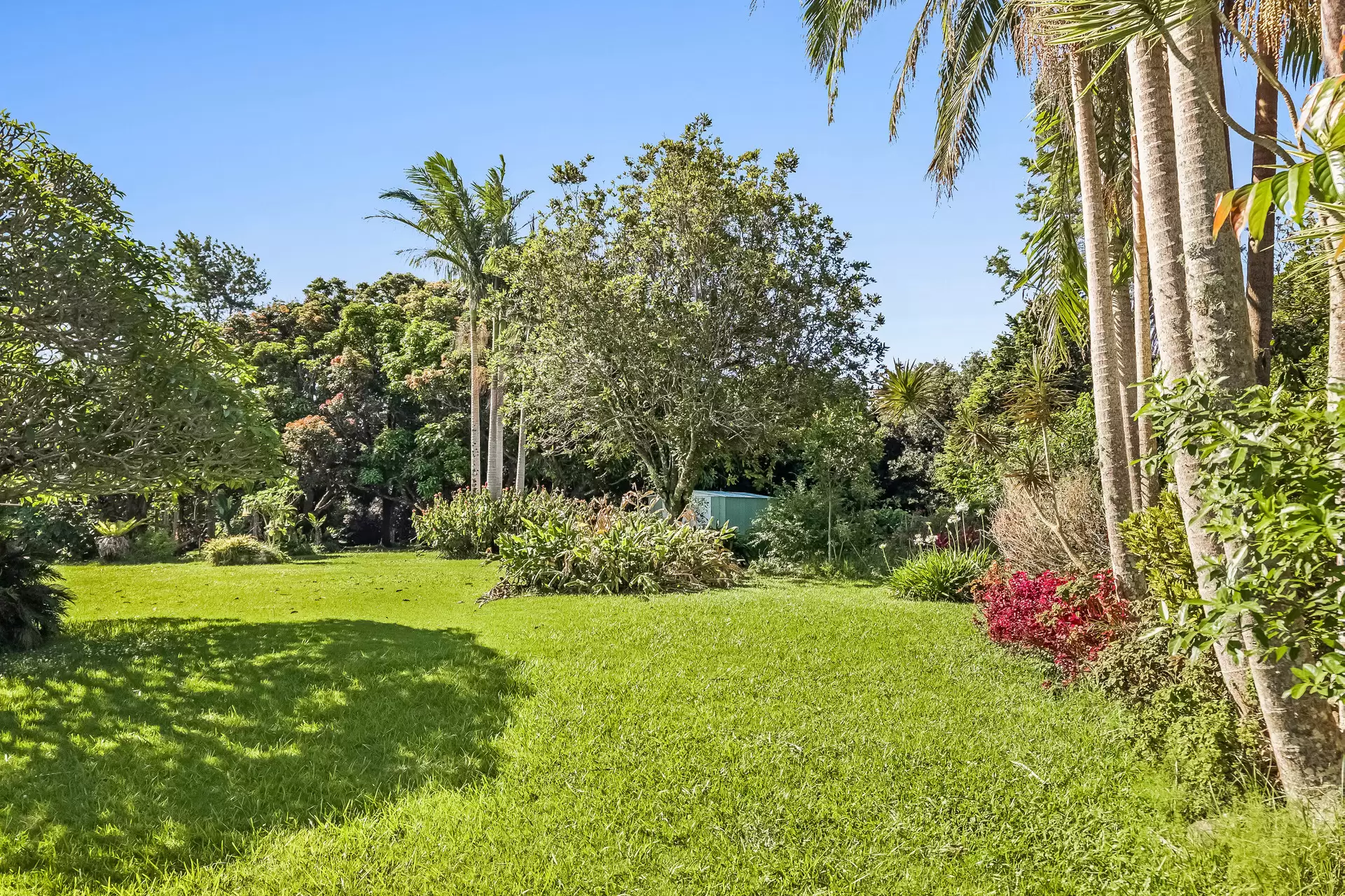 292 Picadilly Hill Road, Coopers Shoot For Sale by Byron Bay Sotheby's International Realty - image 1
