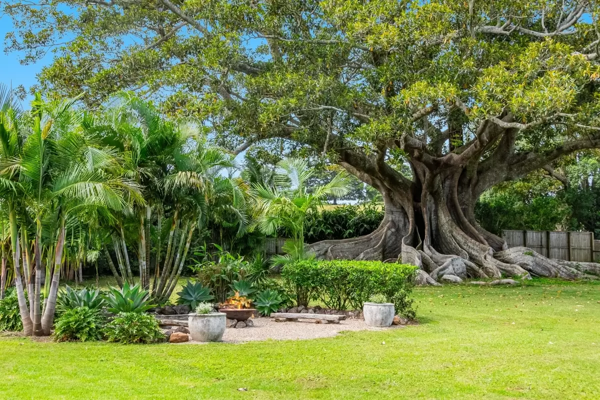 4 Old Byron Bay Road, Newrybar For Sale by Byron Bay Sotheby's International Realty - image 1