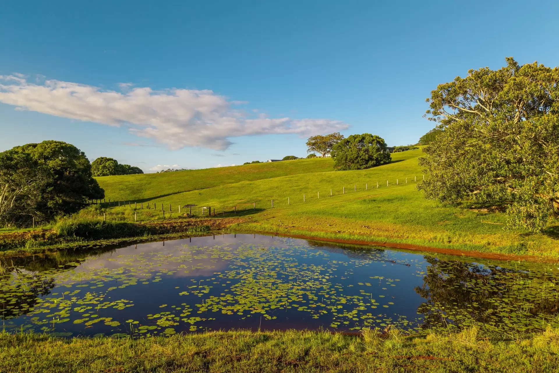 96 Old Byron Bay Road, Newrybar For Sale by Byron Bay Sotheby's International Realty - image 1