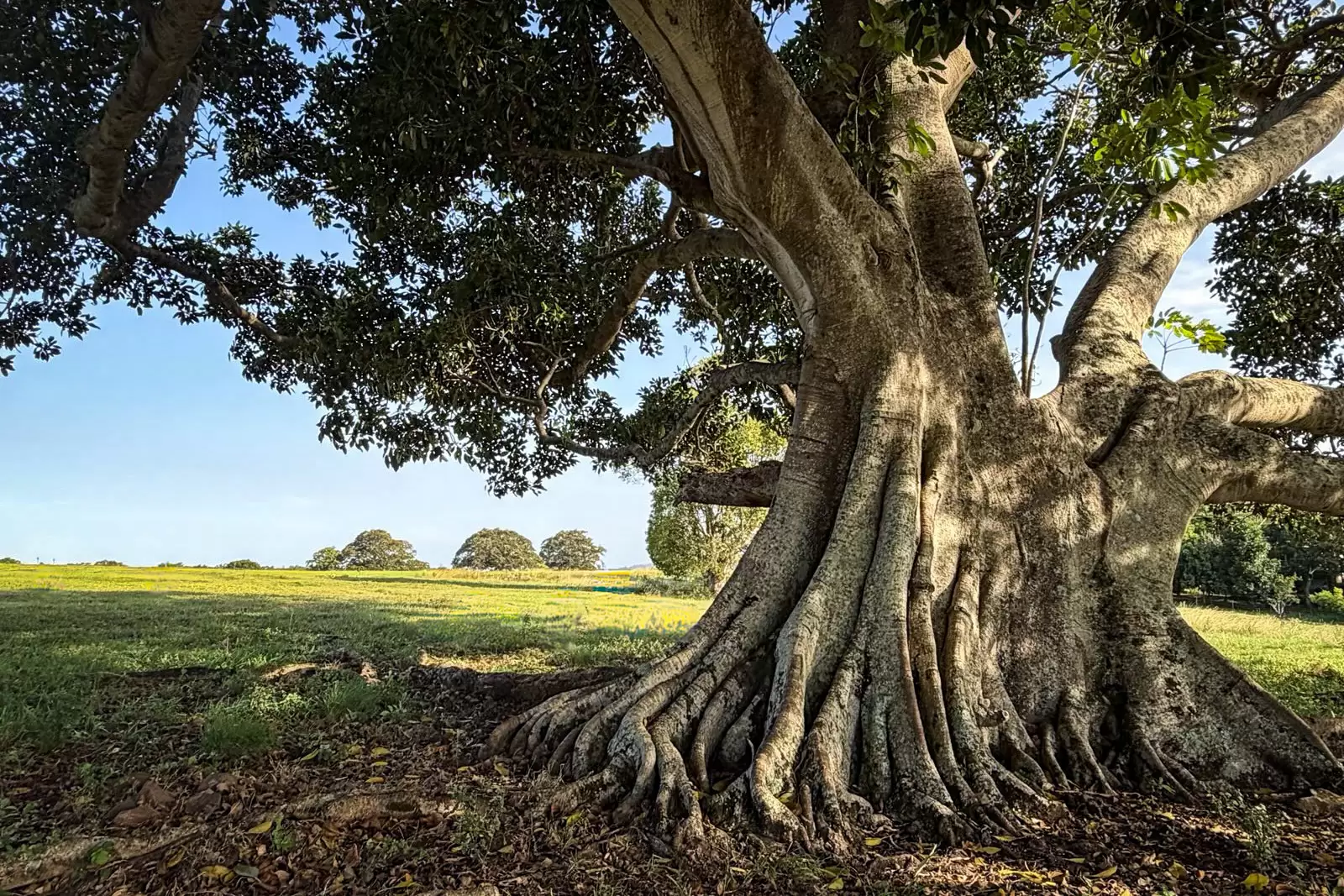 160 Quarry Lane, Ewingsdale For Sale by Byron Bay Sotheby's International Realty - image 1