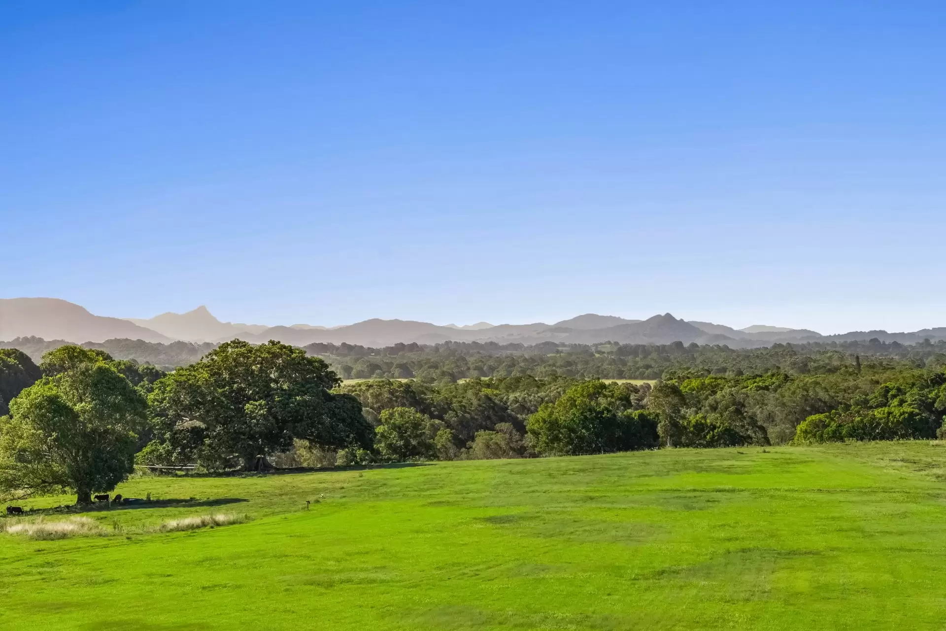 160 Quarry Lane, Ewingsdale For Sale by Byron Bay Sotheby's International Realty - image 1