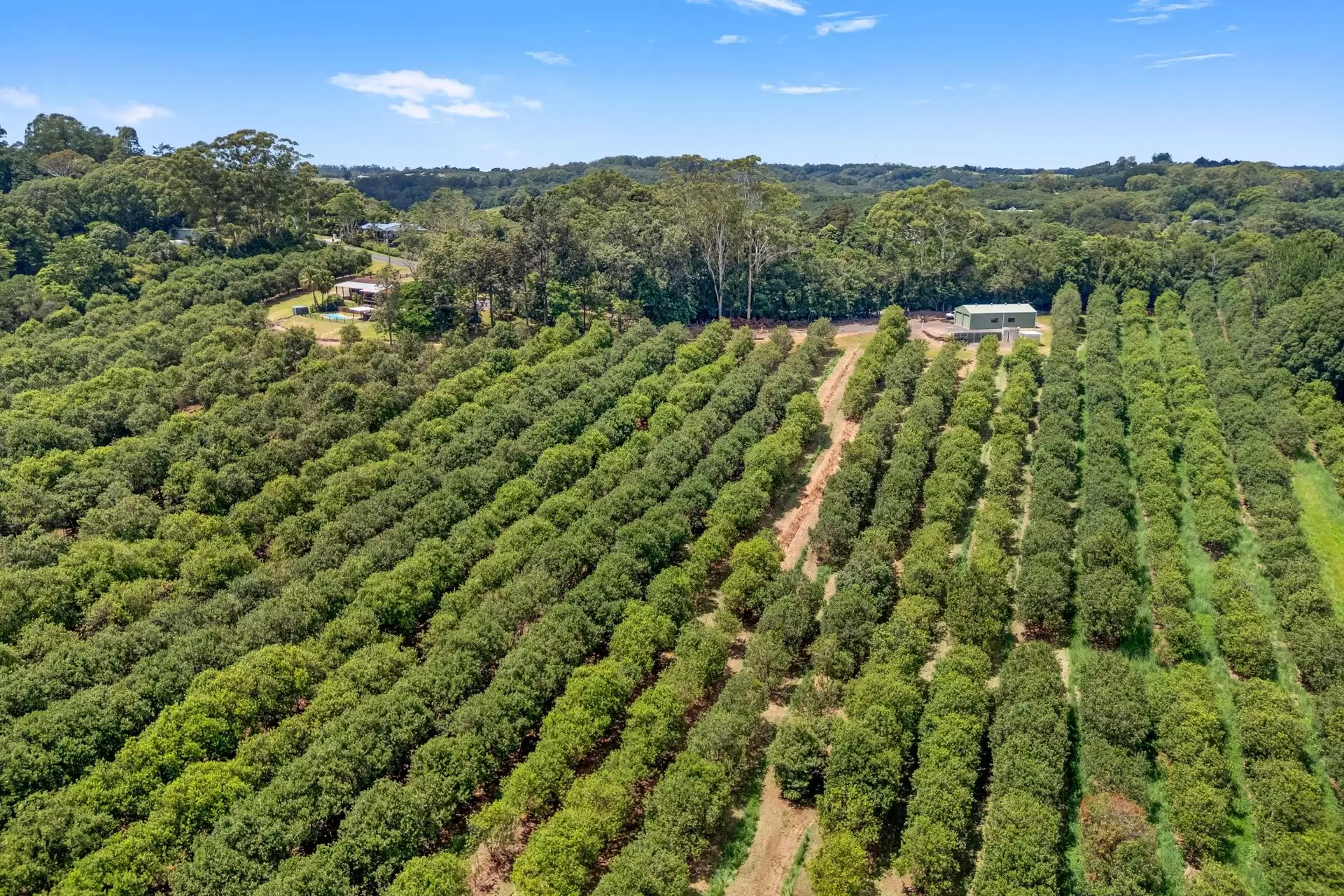 475 Pearces Creek Road, Alstonvale For Sale by Byron Bay Sotheby's International Realty - image 1