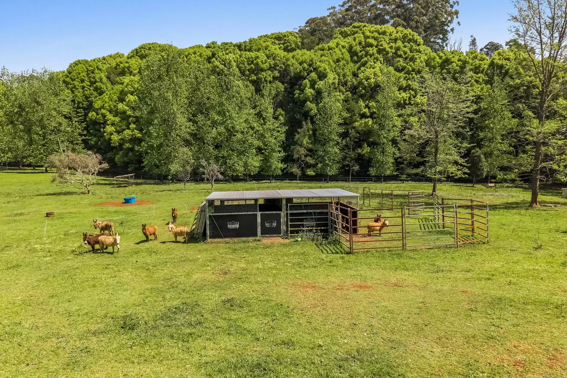377 Pearces Creek Road, Alstonvale For Sale by Byron Bay Sotheby's International Realty - image 1