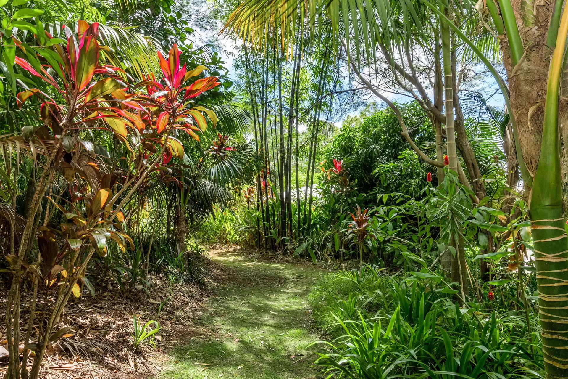 382 Old Byron Bay Road, Newrybar For Sale by Byron Bay Sotheby's International Realty - image 1