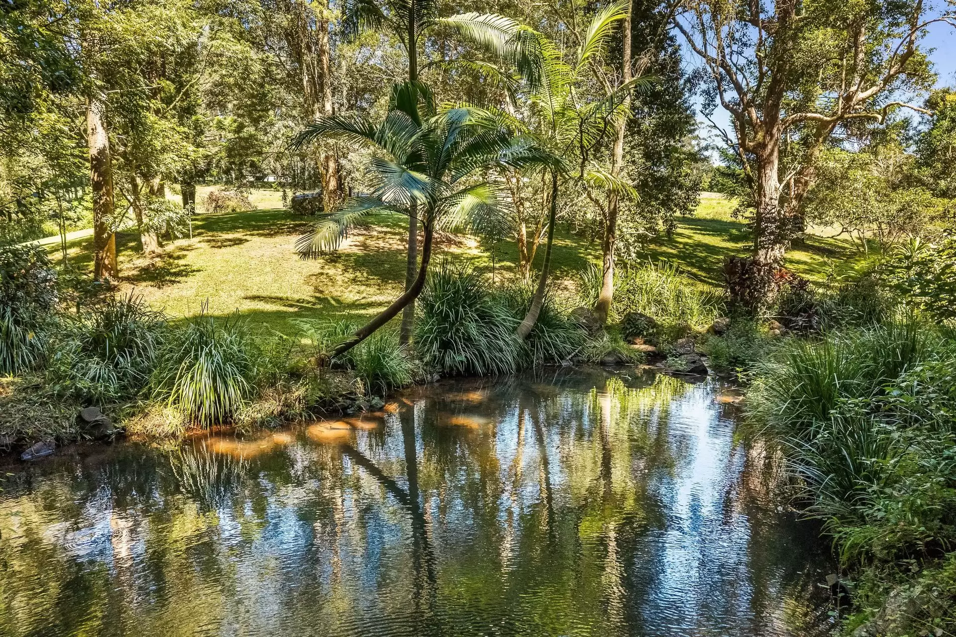 120 Alstonvale Road, Alstonvale Auction by Byron Bay Sotheby's International Realty - image 1