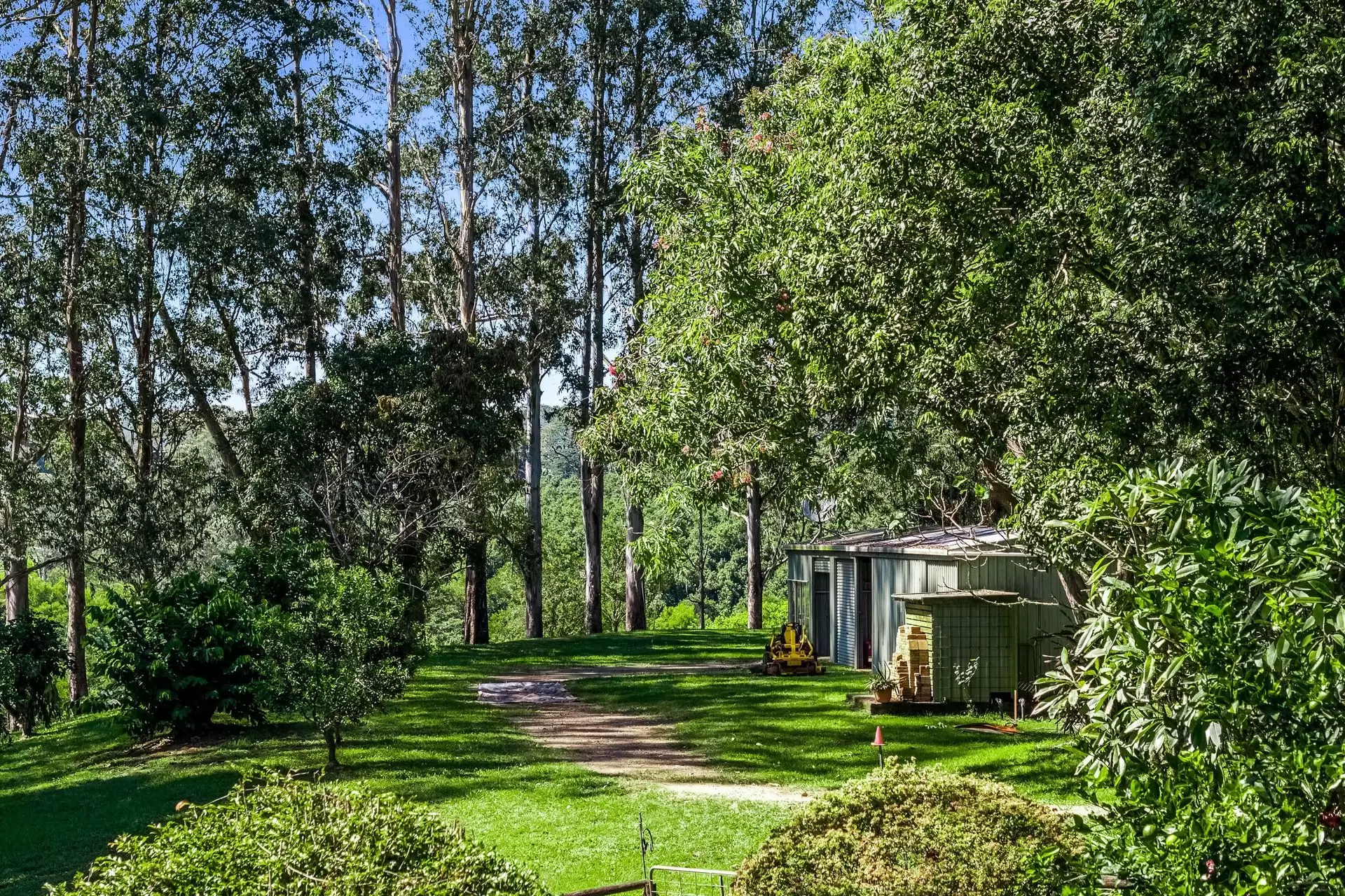120 Alstonvale Road, Alstonvale Auction by Byron Bay Sotheby's International Realty - image 1
