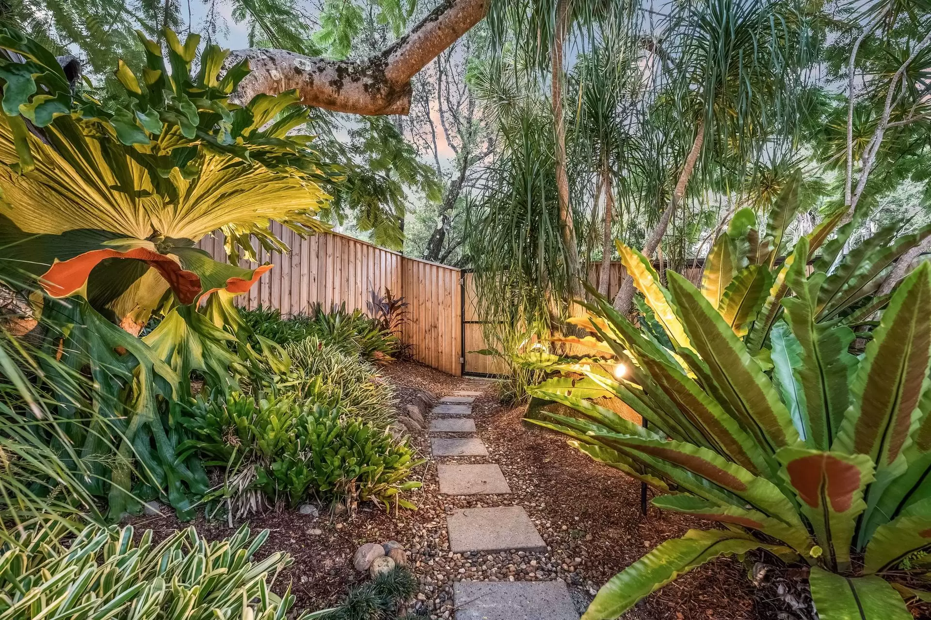 13 Goolara Court, Ocean Shores For Sale by Byron Bay Sotheby's International Realty - image 1