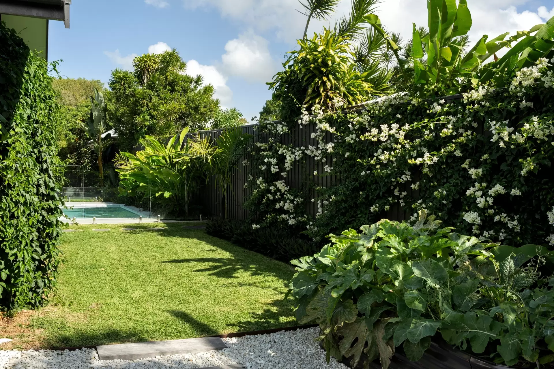 58 Sunrise Boulevard, Byron Bay For Sale by Byron Bay Sotheby's International Realty - image 1
