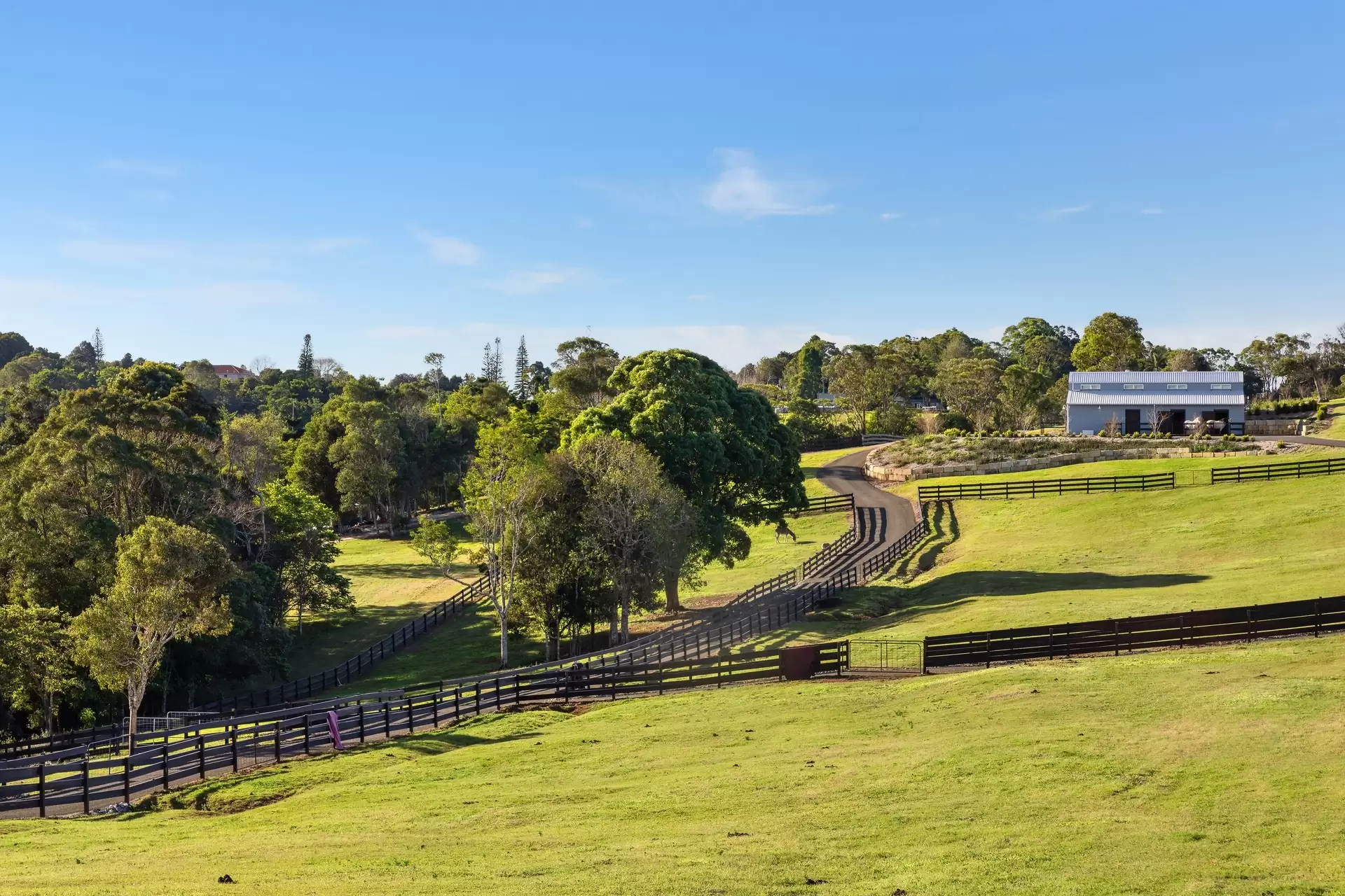 305 Coolamon Scenic Drive, Coorabell For Sale by Byron Bay Sotheby's International Realty - image 1