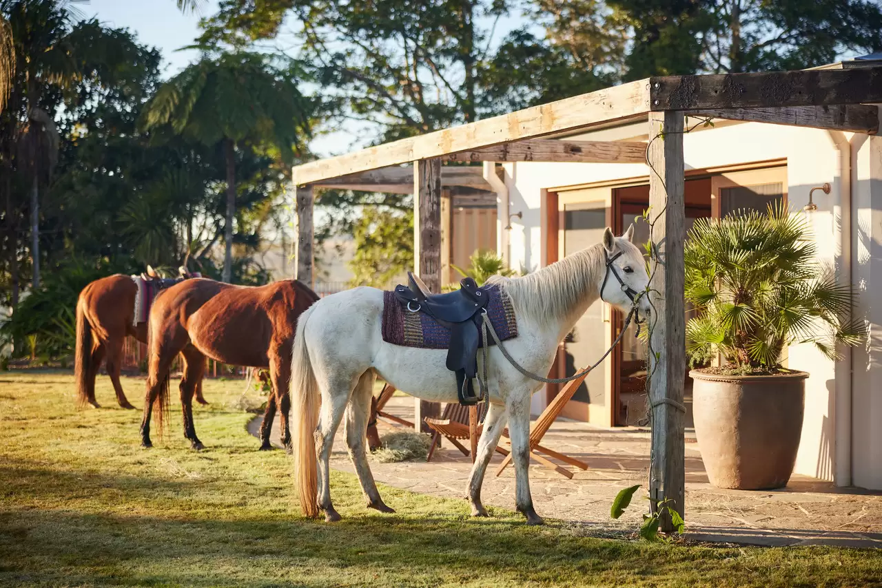 Photo #14: 17 Byron Creek Road, Coopers Shoot - For Sale by Byron Bay Sotheby's International Realty