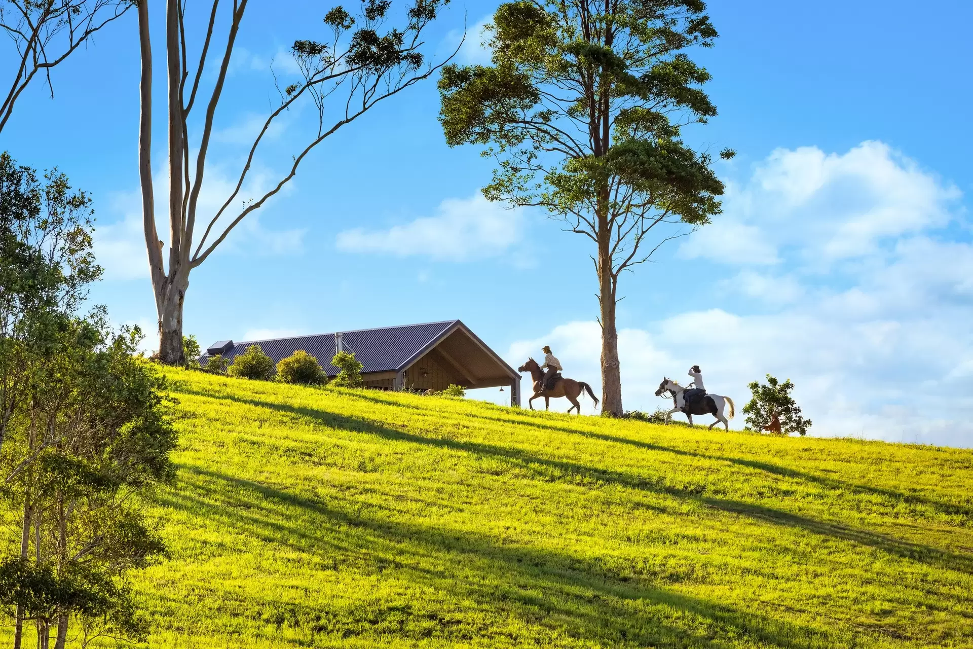 Photo #3: 17 Byron Creek Road, Coopers Shoot - For Sale by Byron Bay Sotheby's International Realty