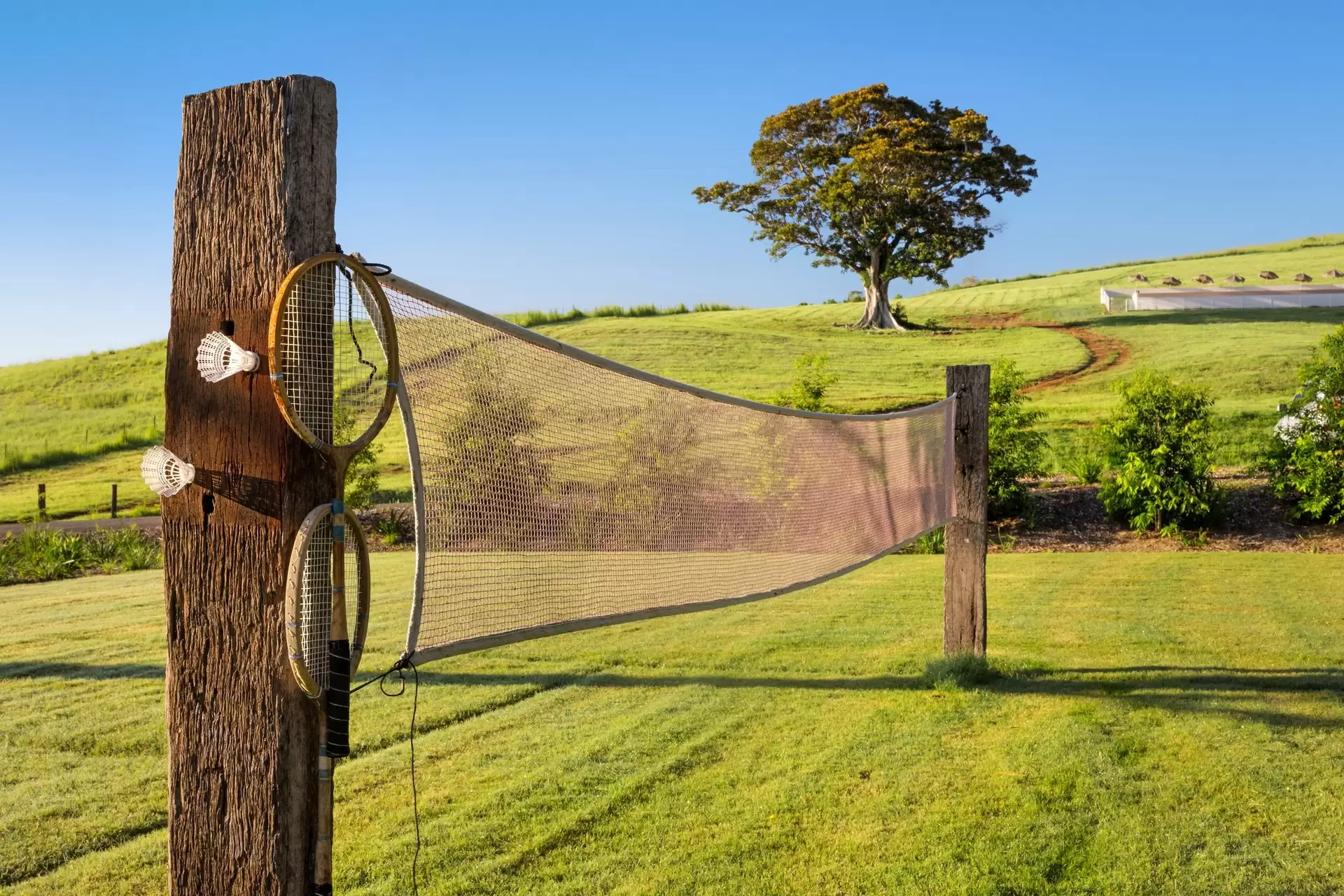 Photo #9: 17 Byron Creek Road, Coopers Shoot - For Sale by Byron Bay Sotheby's International Realty
