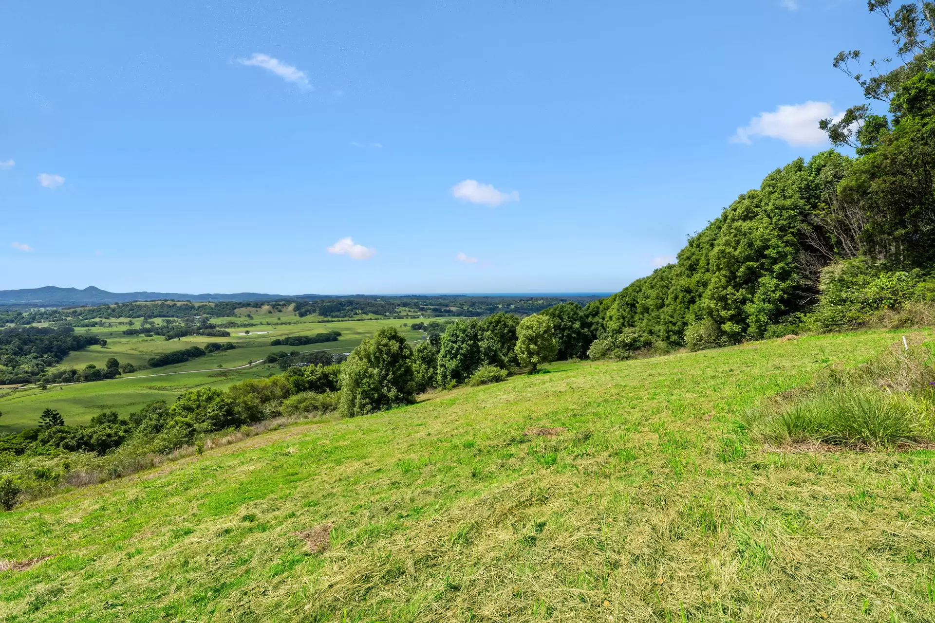 Photo #8: 550 Coolamon Scenic Drive, Coorabell - For Sale by Byron Bay Sotheby's International Realty