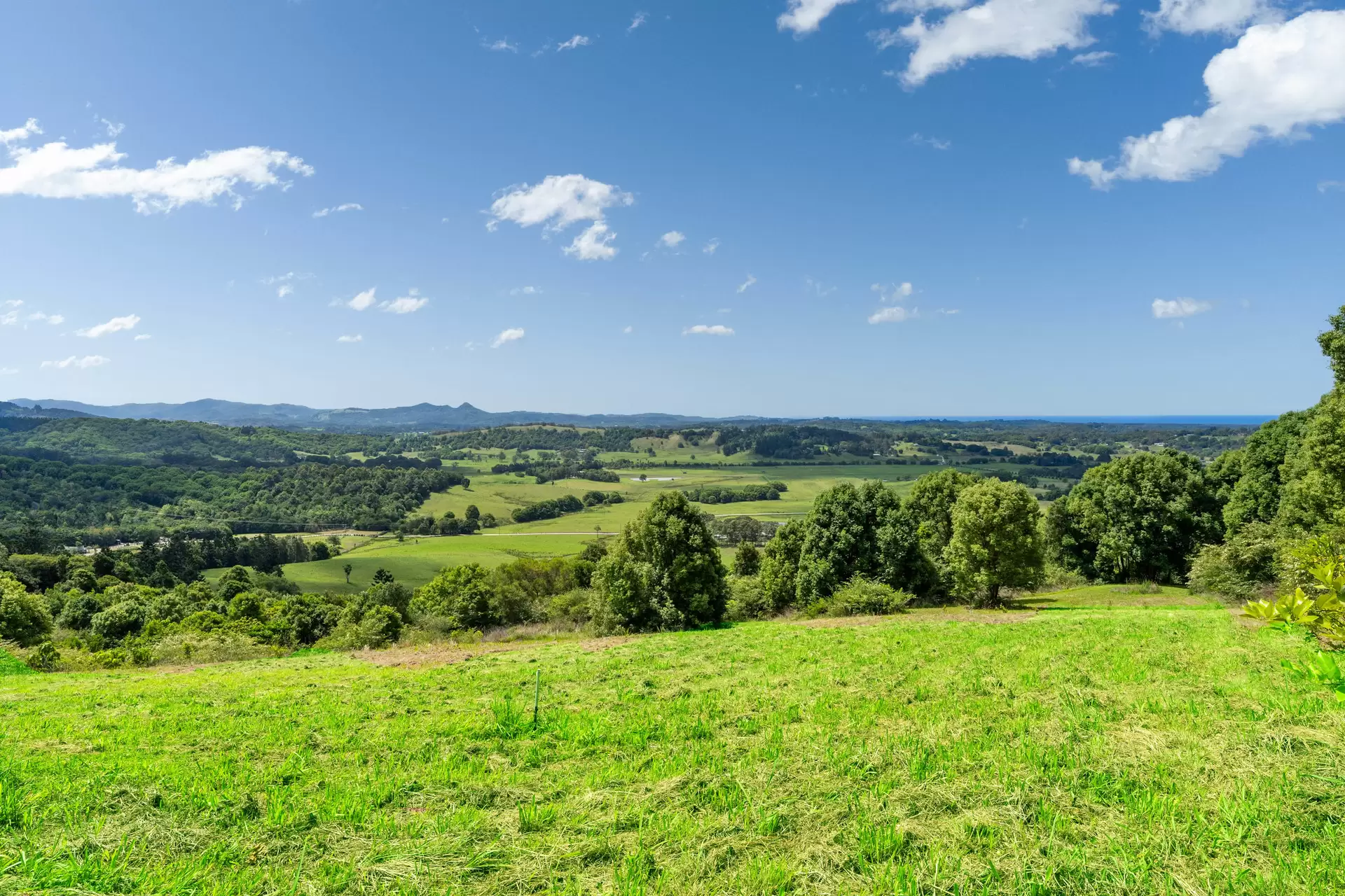 Photo #10: 550 Coolamon Scenic Drive, Coorabell - For Sale by Byron Bay Sotheby's International Realty