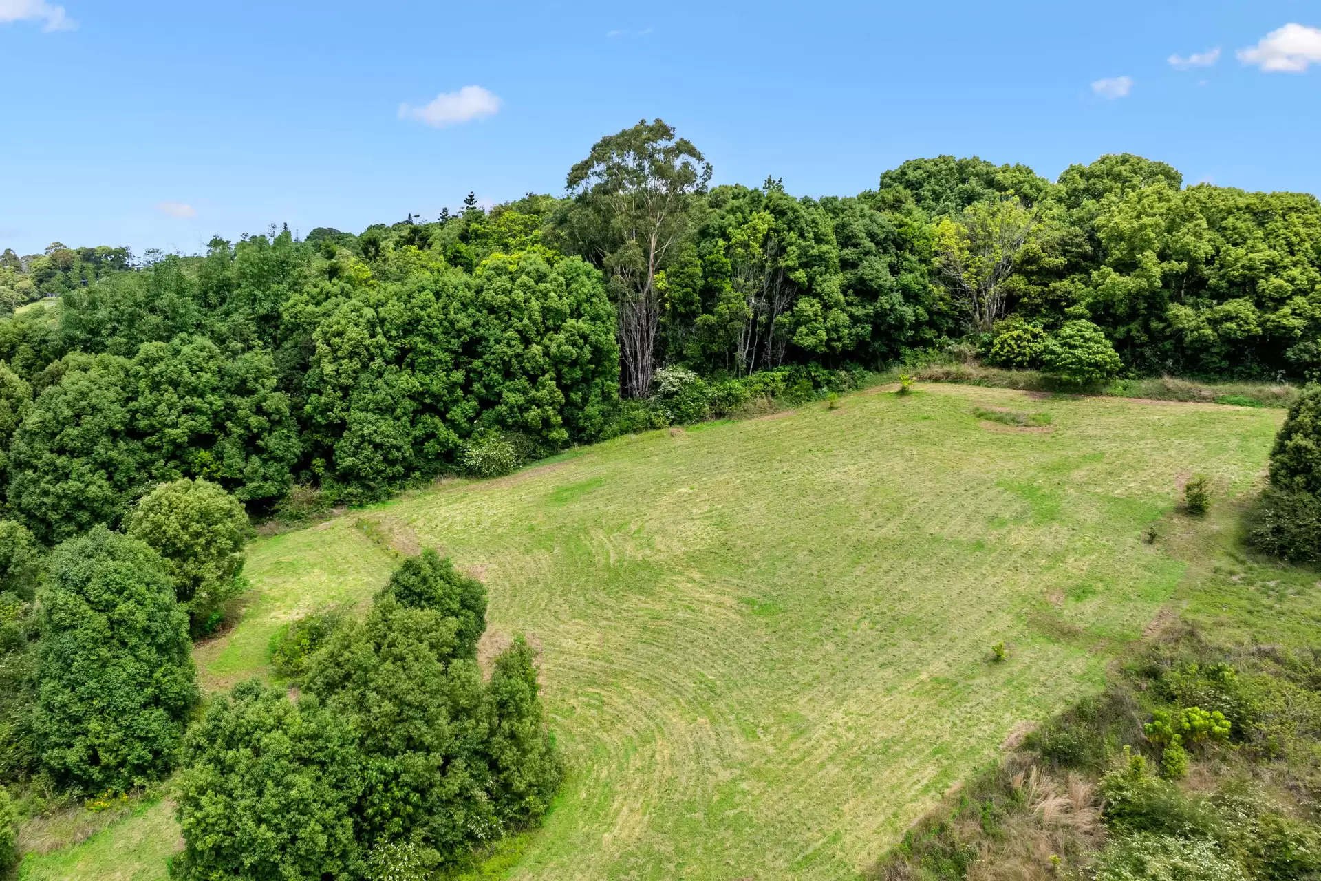 Photo #7: 550 Coolamon Scenic Drive, Coorabell - For Sale by Byron Bay Sotheby's International Realty