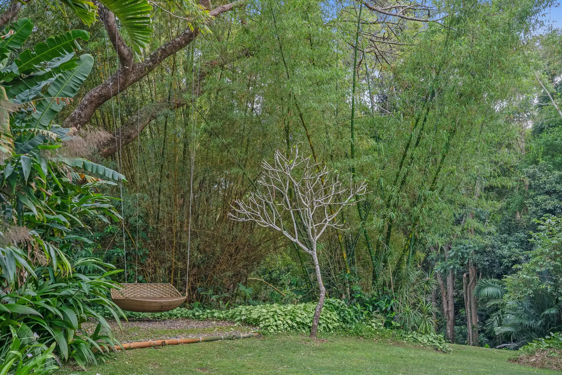 Photo #13: 221 Kennedys Lane, Ewingsdale - For Sale by Byron Bay Sotheby's International Realty