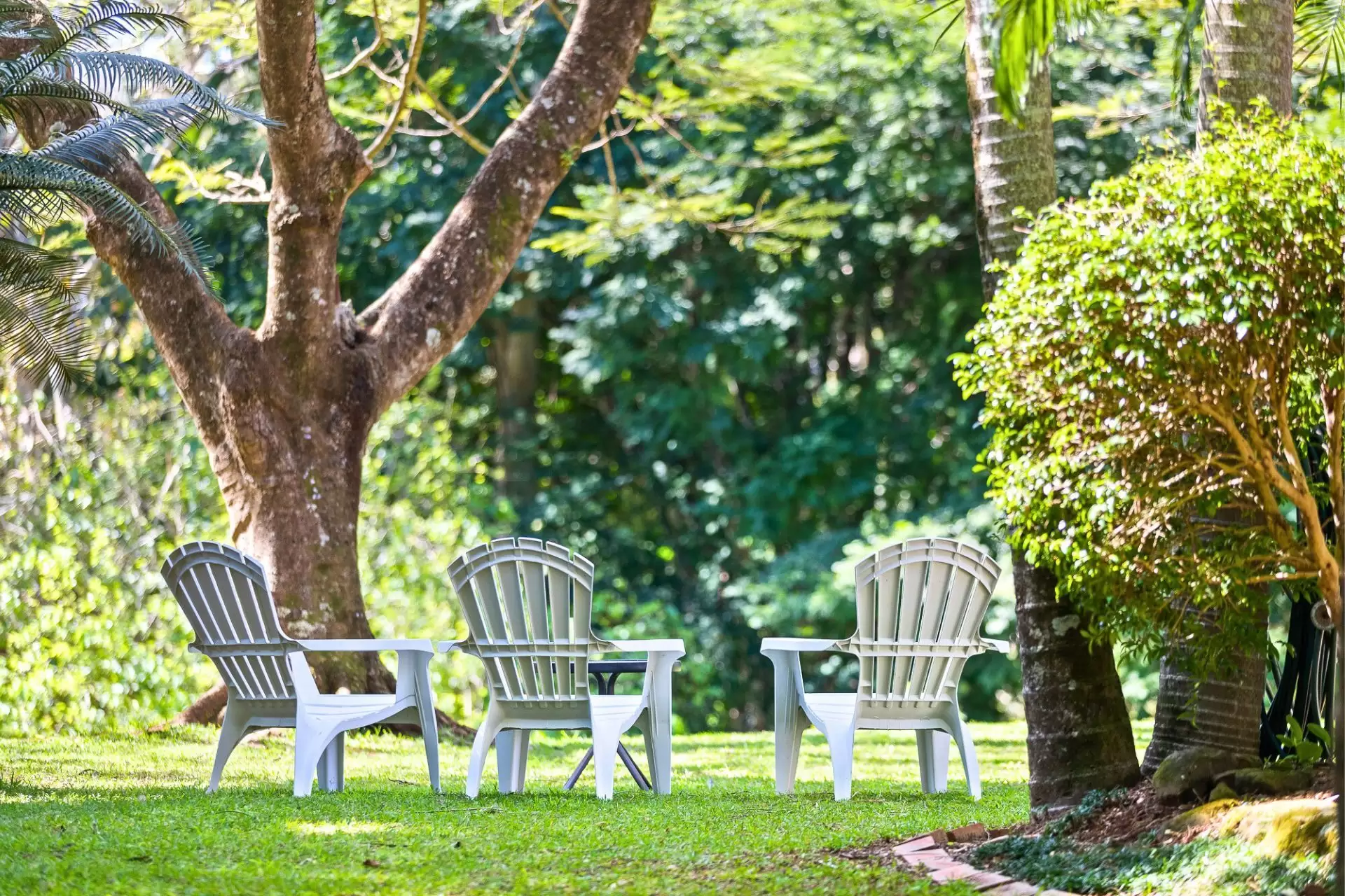 Photo #20: 15 Valley Court, Ewingsdale - Sold by Byron Bay Sotheby's International Realty