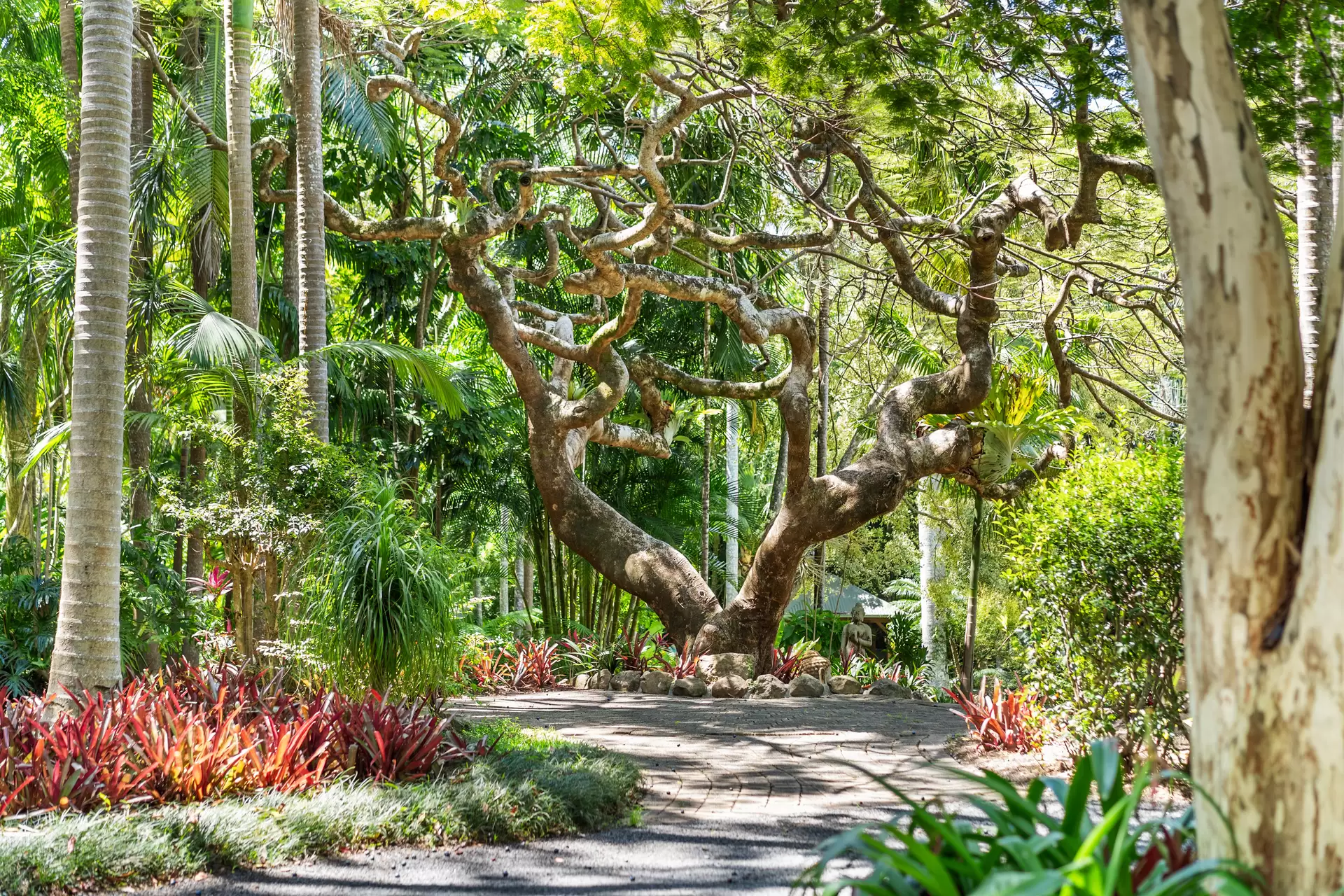 Photo #25: 15 & 39 Middle Pocket Road, Middle Pocket - For Sale by Byron Bay Sotheby's International Realty