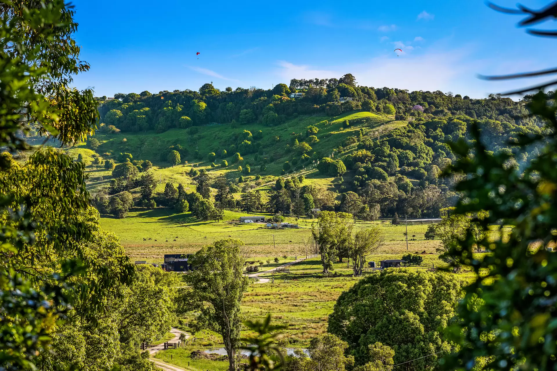 Photo #17: 343 Tyagarah Road, Myocum - Sold by Byron Bay Sotheby's International Realty