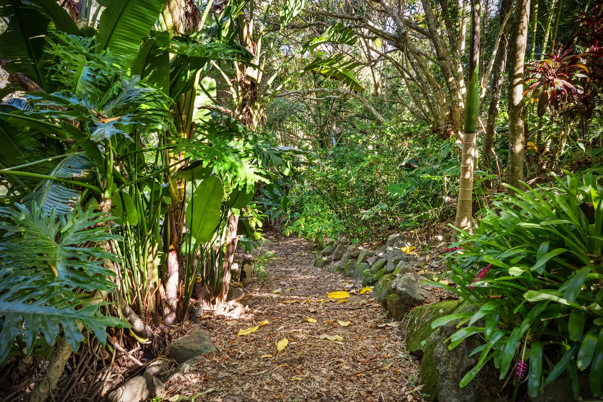 Photo #27: 343 Tyagarah Road, Myocum - Sold by Byron Bay Sotheby's International Realty