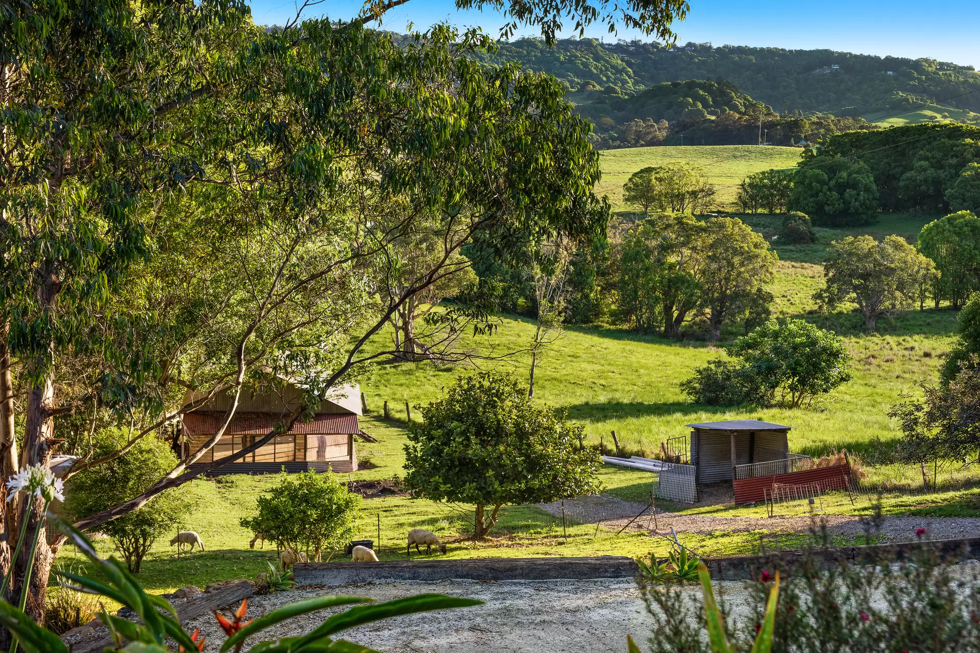 Photo #28: 343 Tyagarah Road, Myocum - Sold by Byron Bay Sotheby's International Realty