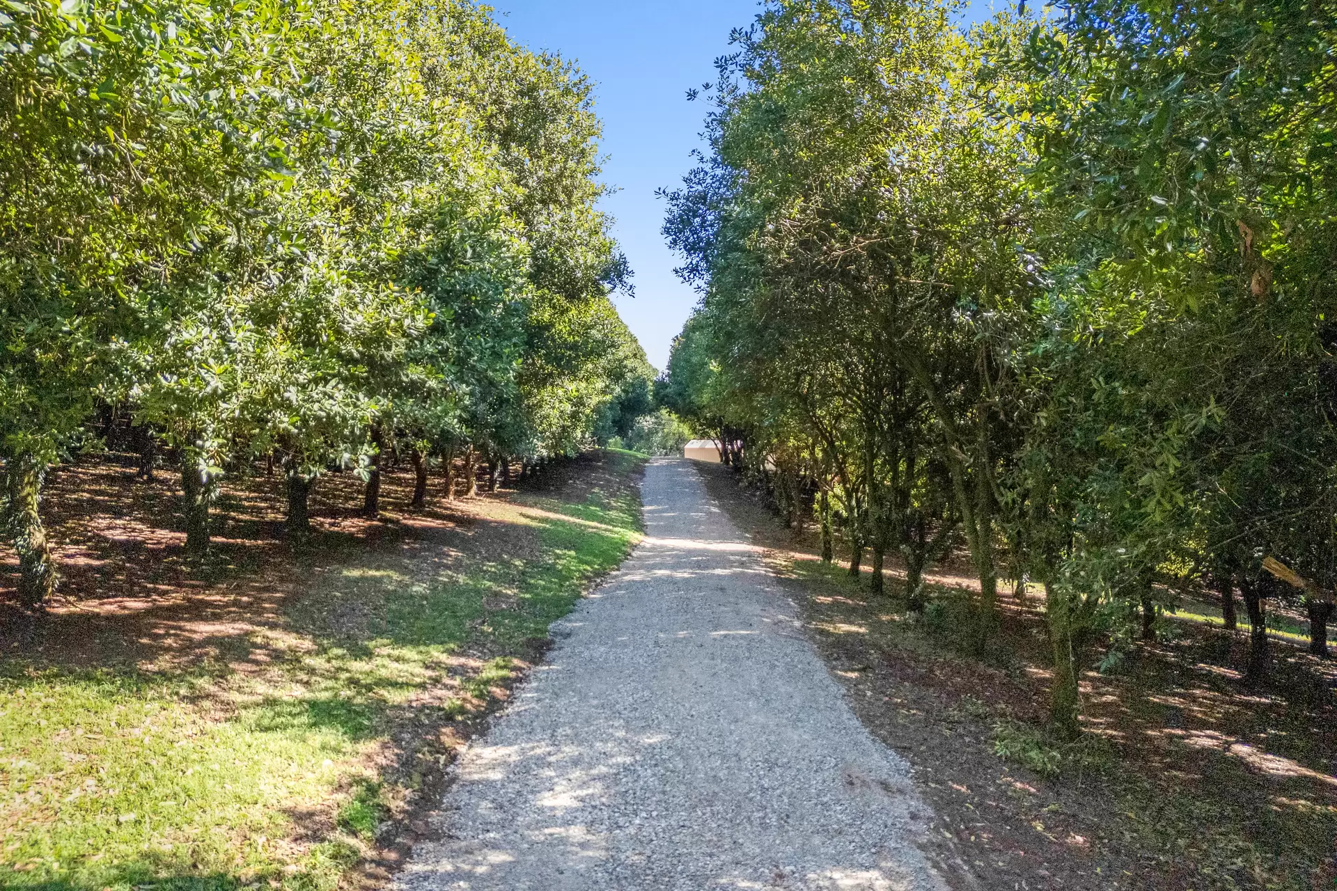 Photo #31: 412 Repentance Creek Road, Repentance Creek - For Sale by Byron Bay Sotheby's International Realty