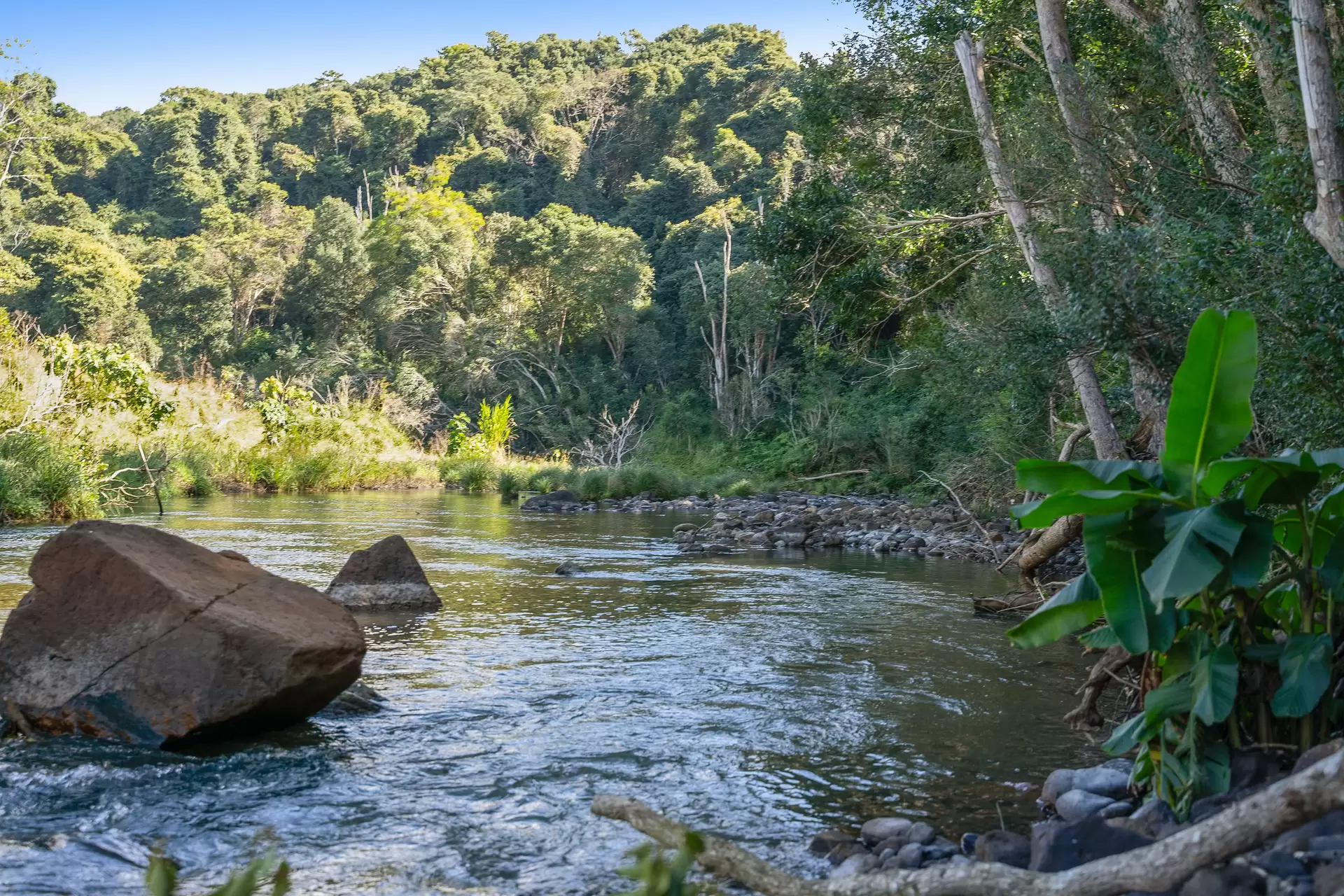 Photo #26: 412 Repentance Creek Road, Repentance Creek - For Sale by Byron Bay Sotheby's International Realty