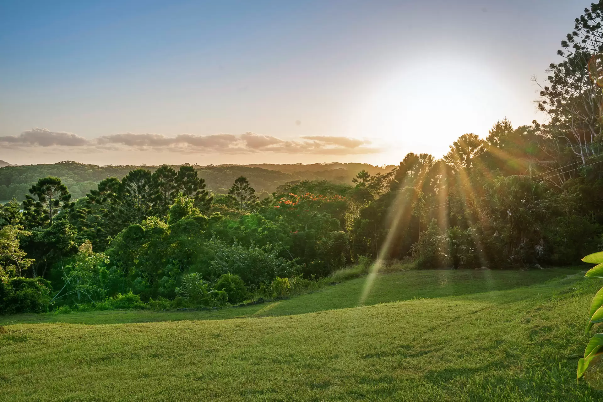 Photo #18: 307 Skinners Shoot Road, Skinners Shoot - Sold by Byron Bay Sotheby's International Realty