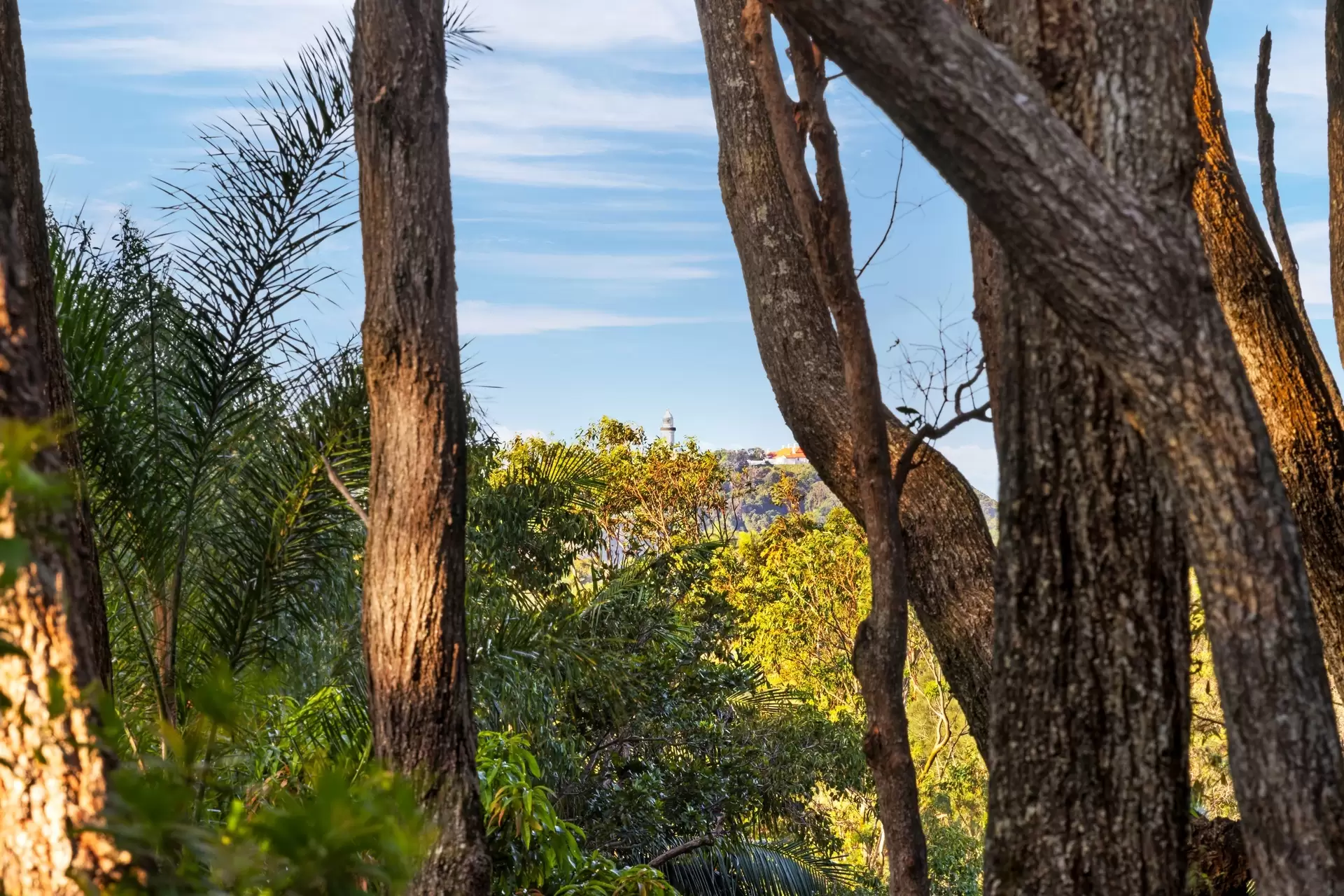 Photo #6: 23 Old Bangalow Road, Byron Bay - Sold by Byron Bay Sotheby's International Realty