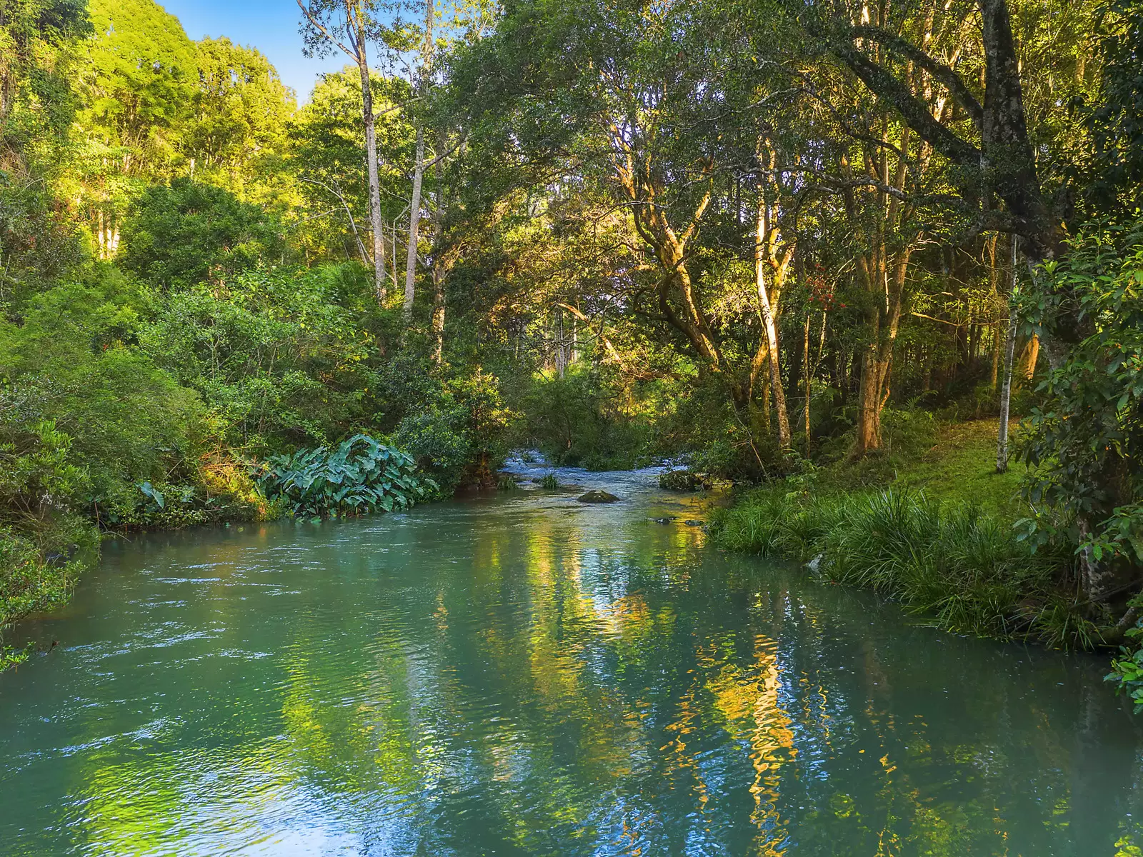 Photo #33: 777 Wilsons Creek Road, Wilsons Creek - For Sale by Byron Bay Sotheby's International Realty