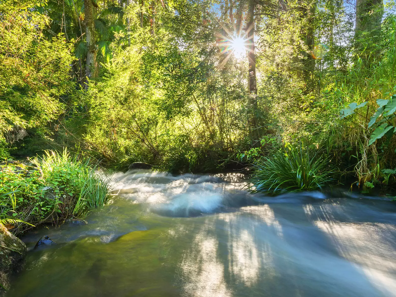 Photo #6: 777 Wilsons Creek Road, Wilsons Creek - For Sale by Byron Bay Sotheby's International Realty