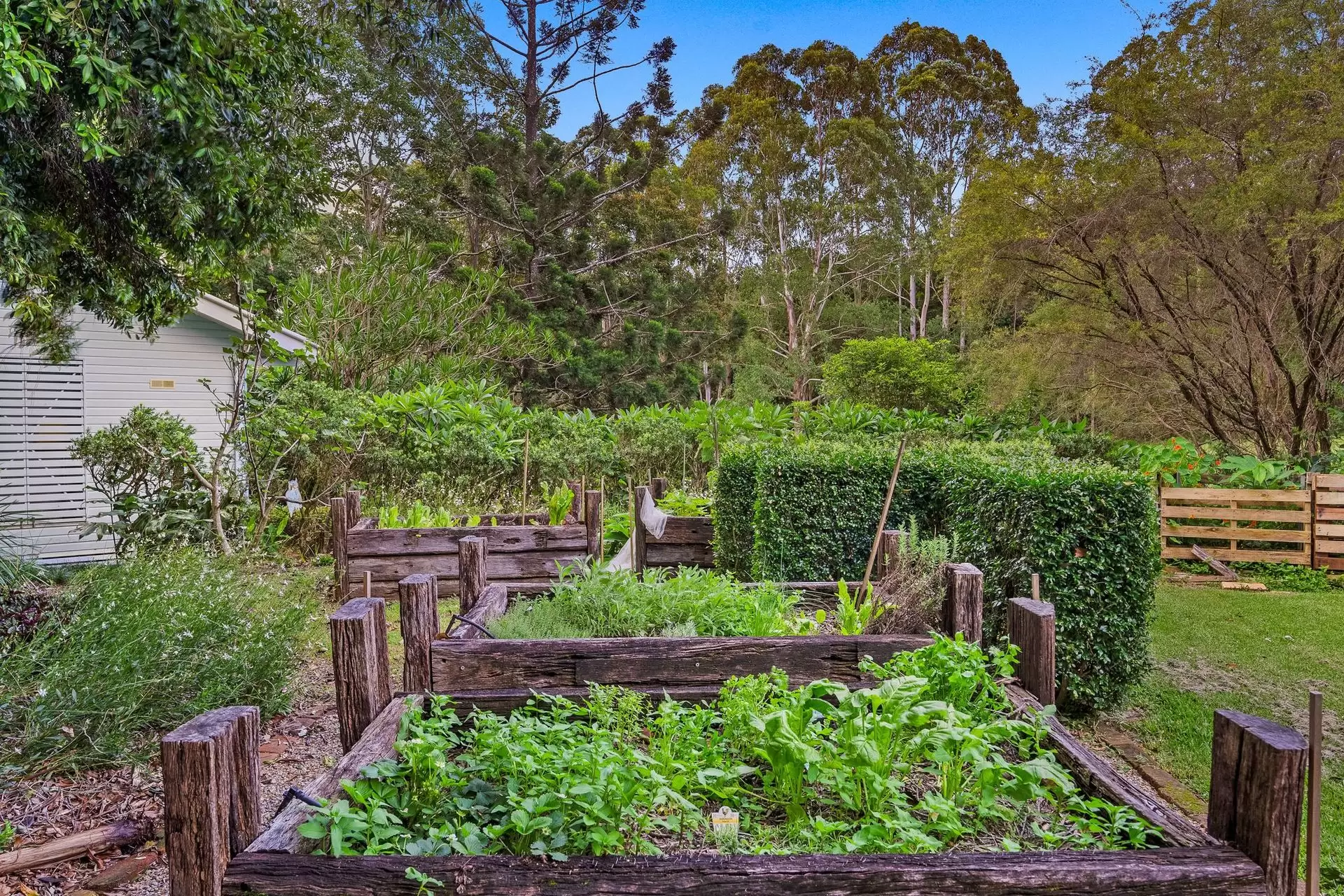 Photo #26: 711 Federal Drive, Federal - For Sale by Byron Bay Sotheby's International Realty