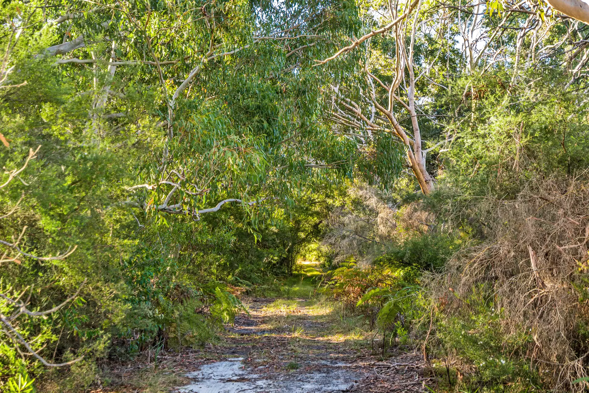 Photo #17: 78 Owenia Way, Broken Head - For Sale by Byron Bay Sotheby's International Realty