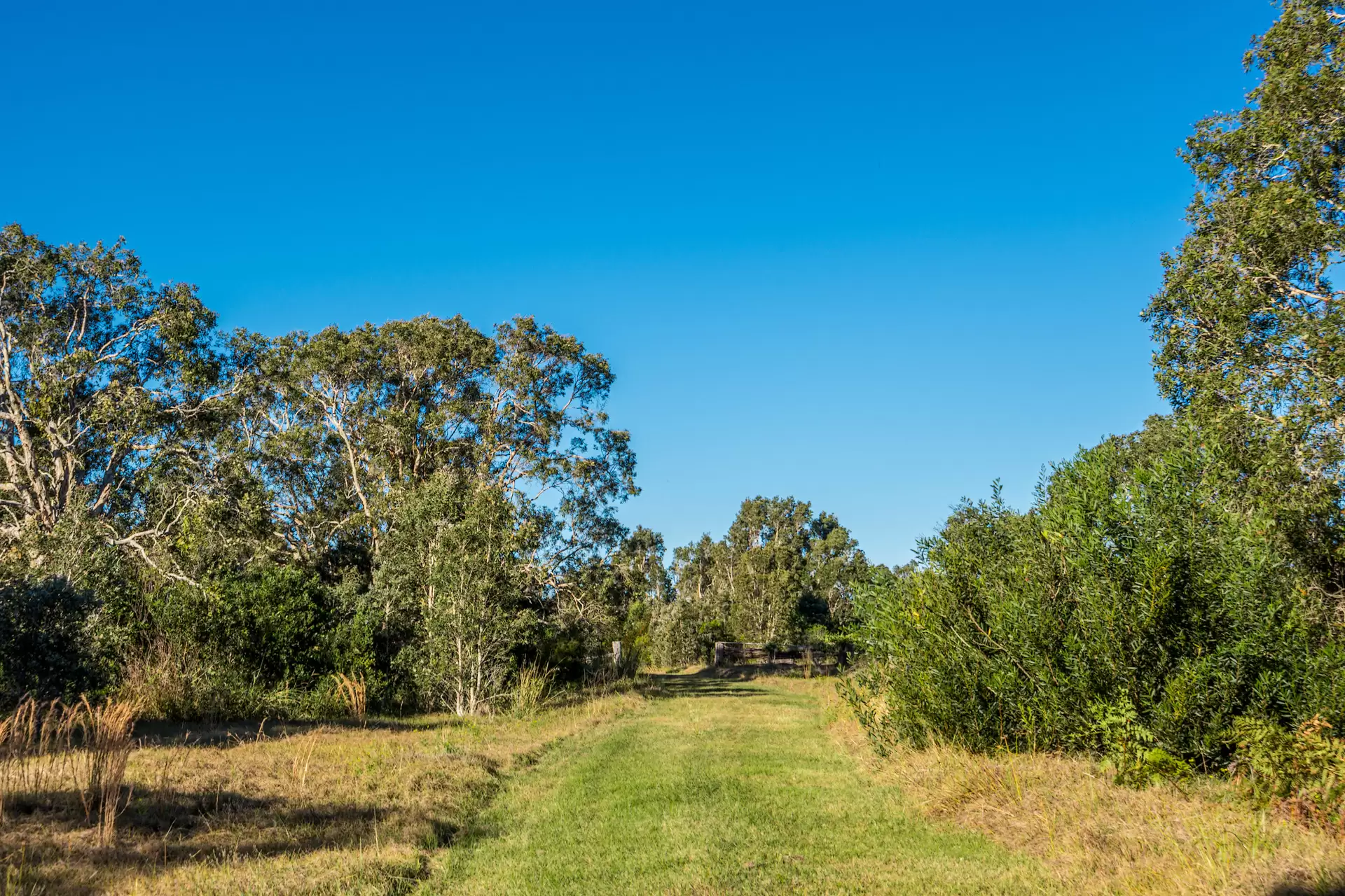 Photo #16: 78 Owenia Way, Broken Head - For Sale by Byron Bay Sotheby's International Realty